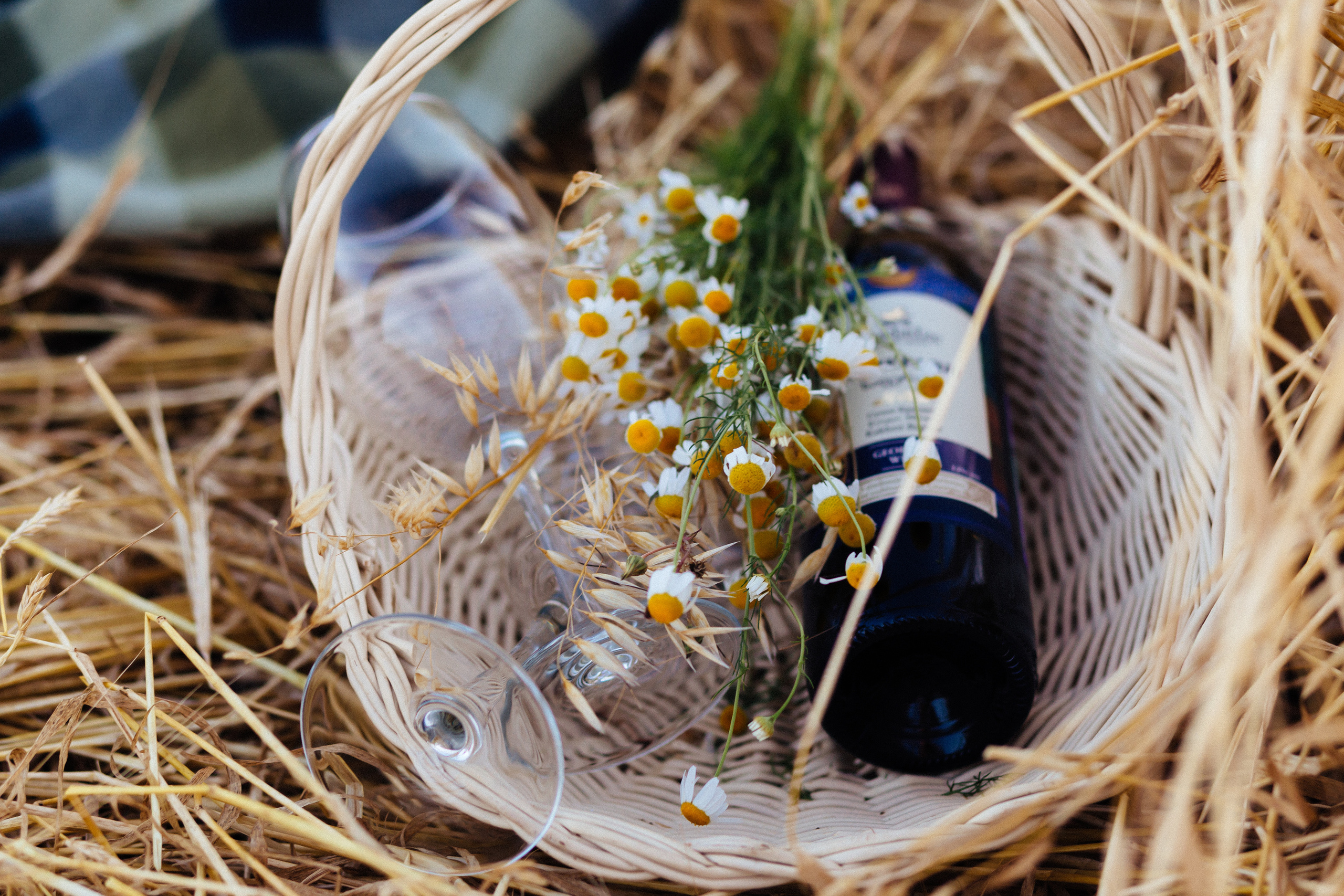 Летний закат. Фотограф в Тамбове Ольга Мельникова