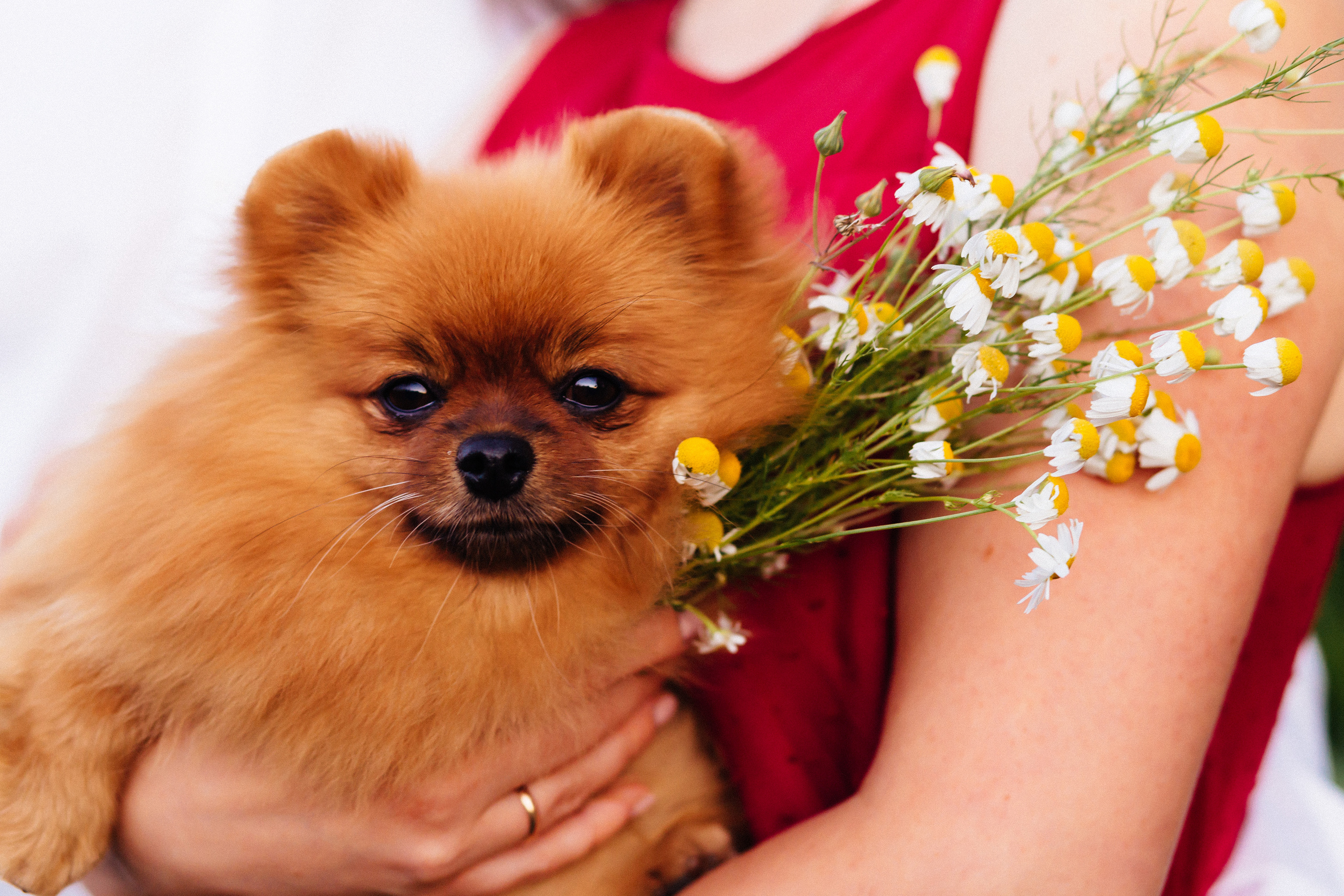 Летний закат. Фотограф в Тамбове Ольга Мельникова