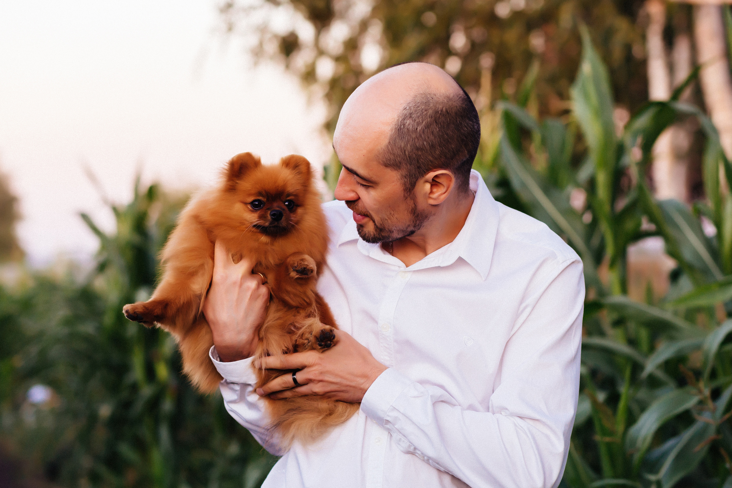 Летний закат. Фотограф в Тамбове Ольга Мельникова