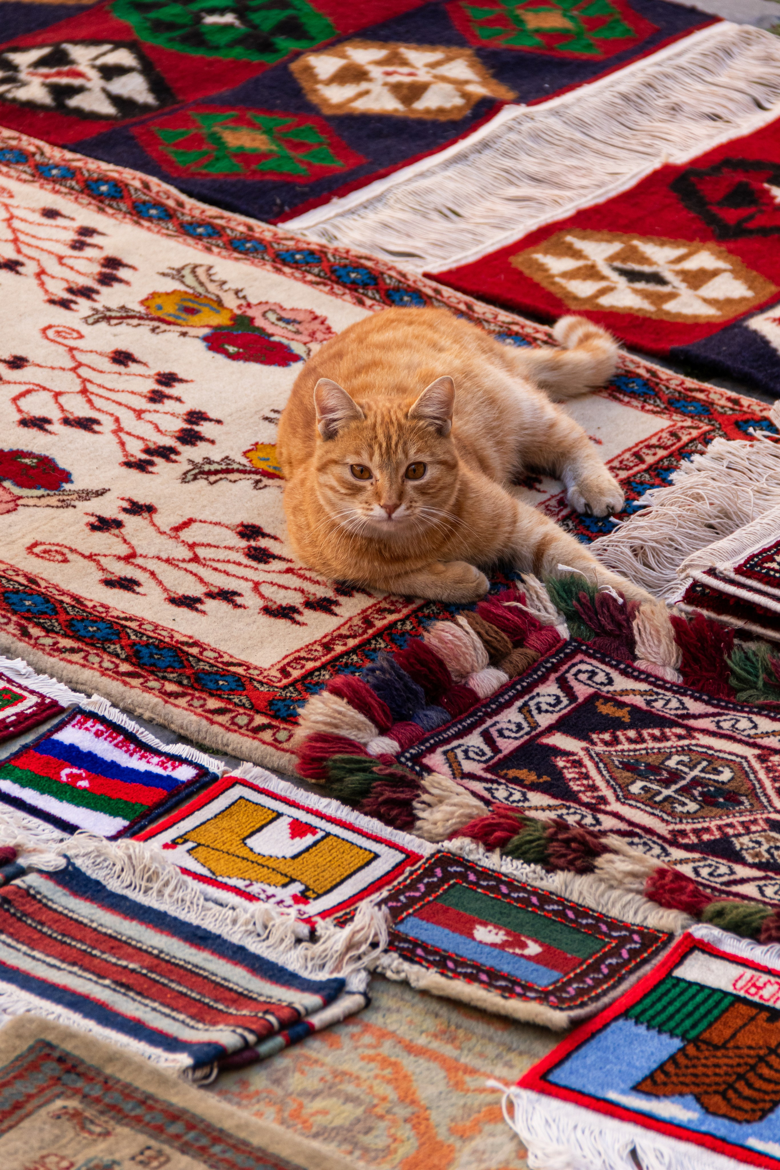 Баку. Наталия Фролова. Фотограф. Москва