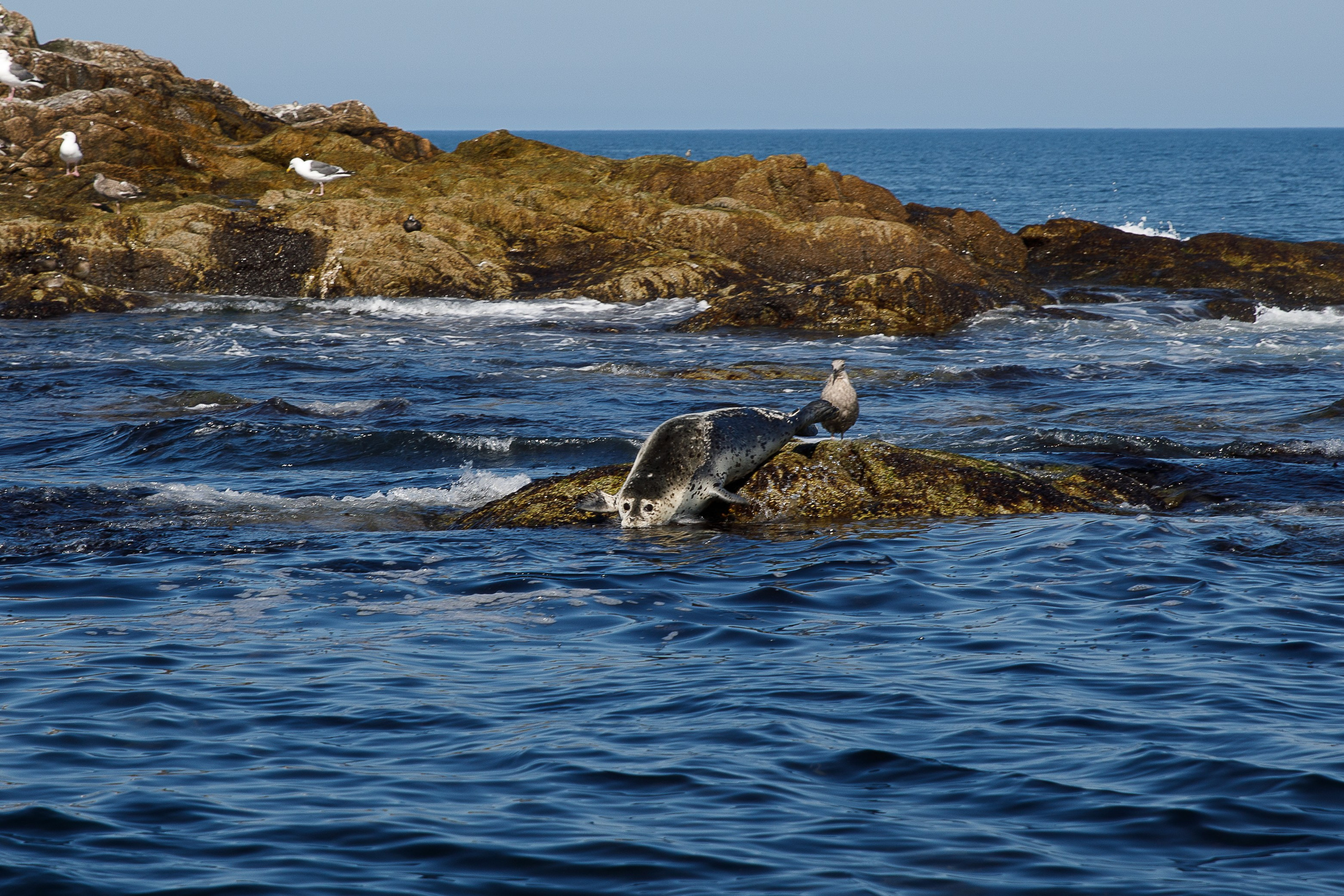Сахалин. Маяк Анива. Репортажный и портретный фотограф Русакова Жанна