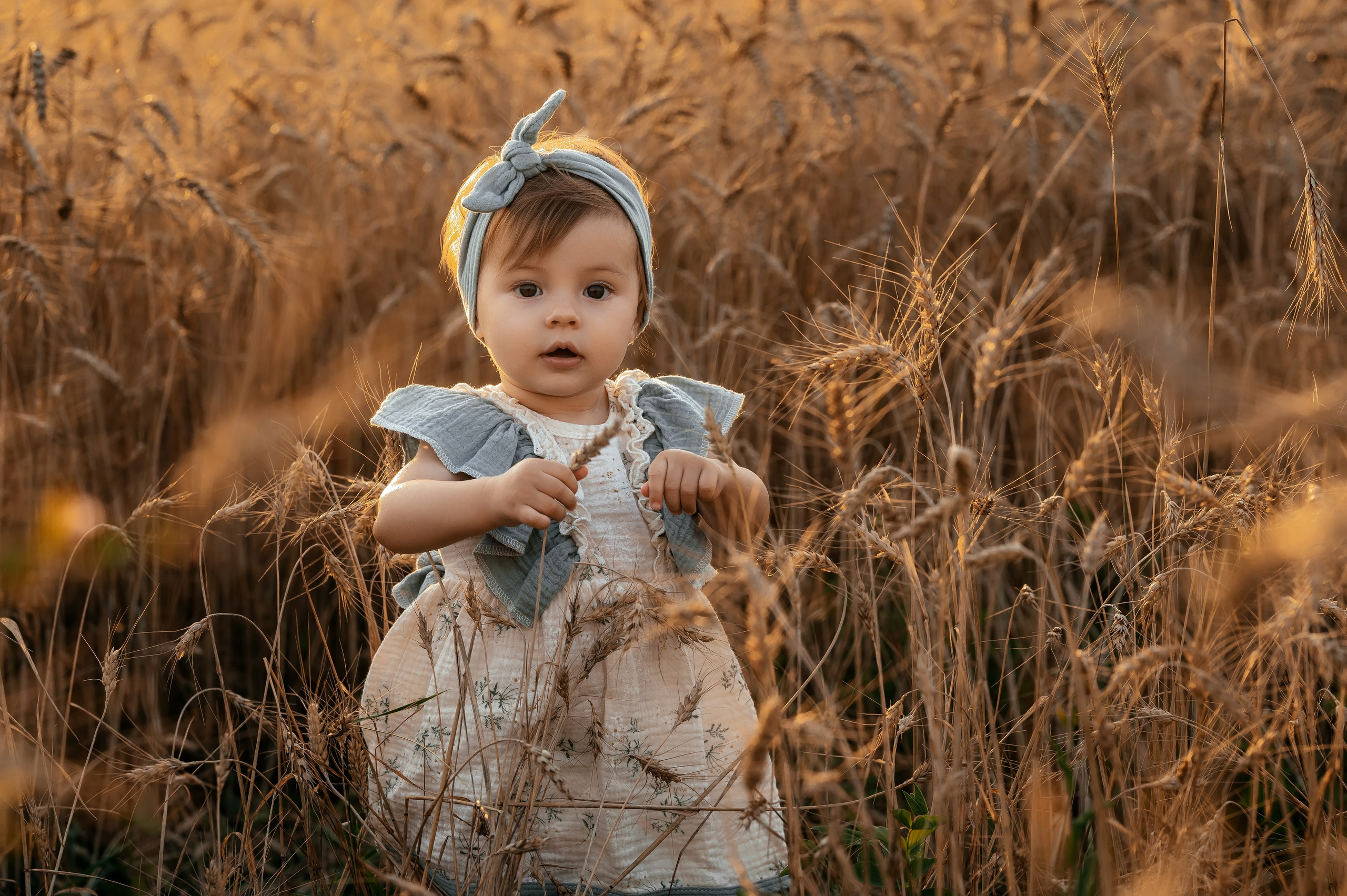 Оля, пшеничное поле в Протасово. Свадебный и семейный фотограф Виктория Носачёва. Щелково, Москва и МО