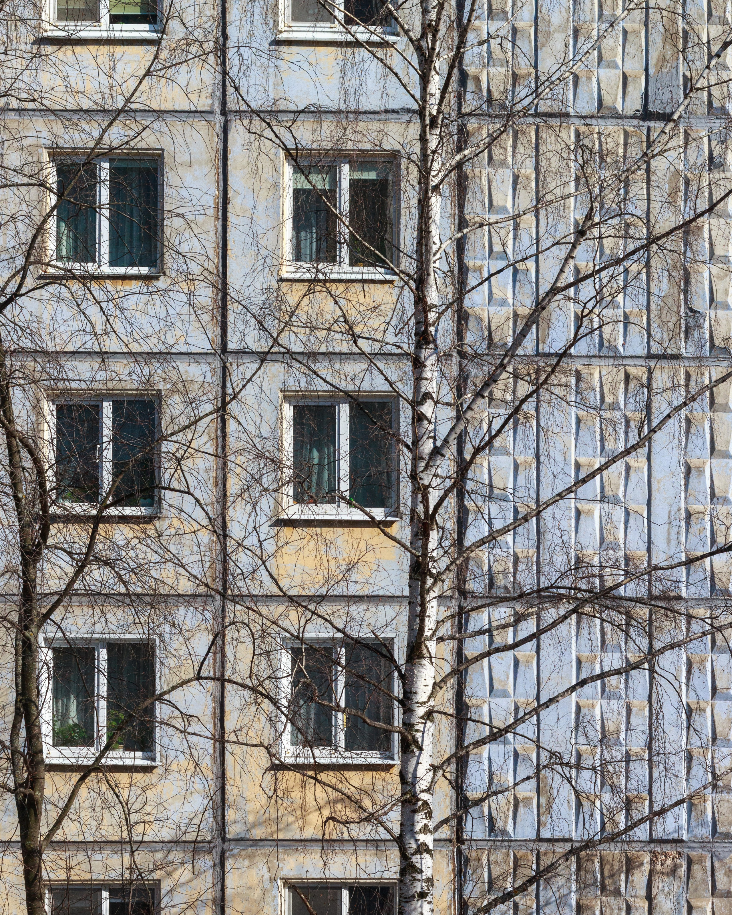 Родные узоры. Россия. Олег Романов. Мастер фото по спорту