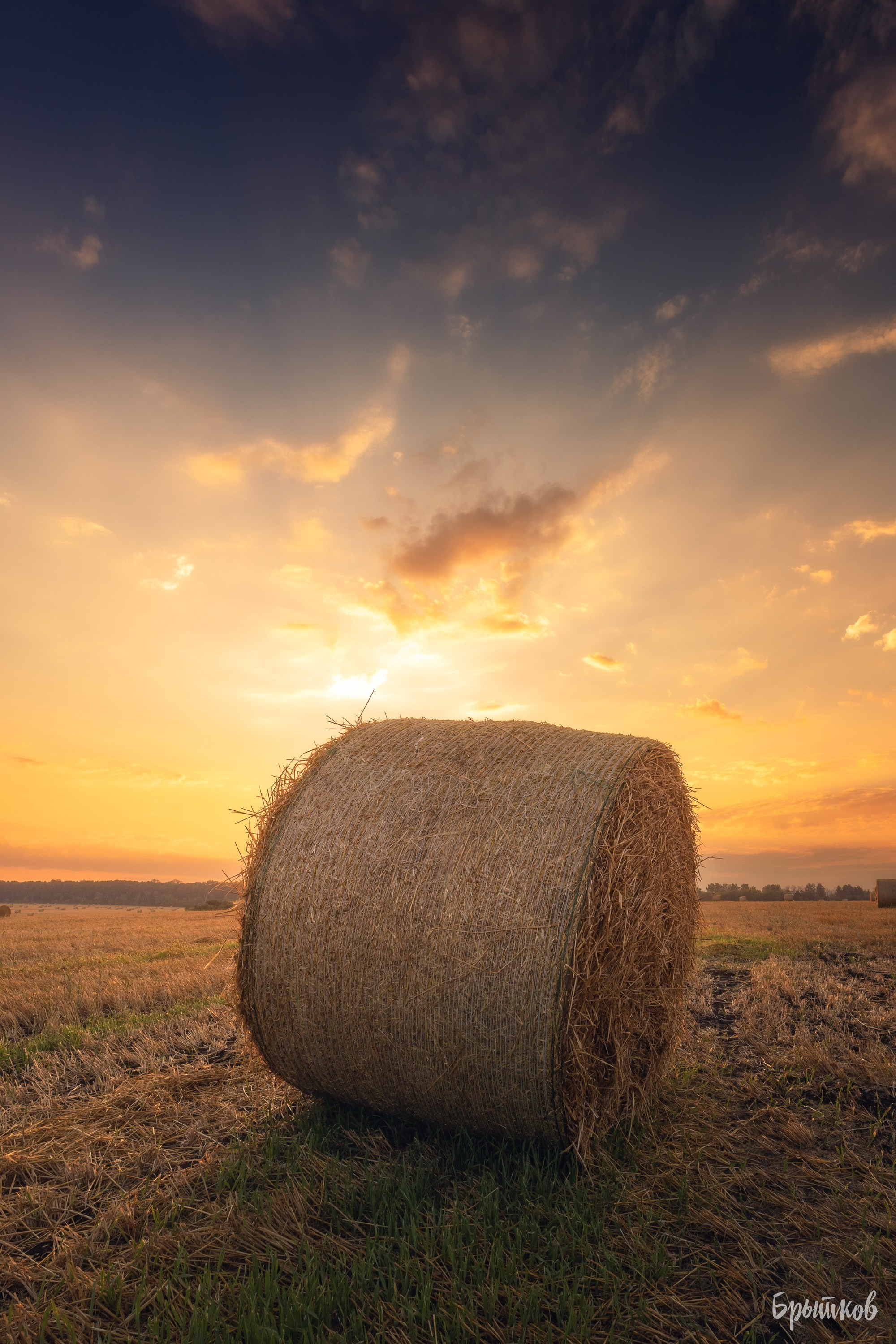 Поля. Сено в кругляшах. Николай Брытков — фотограф в Туле
