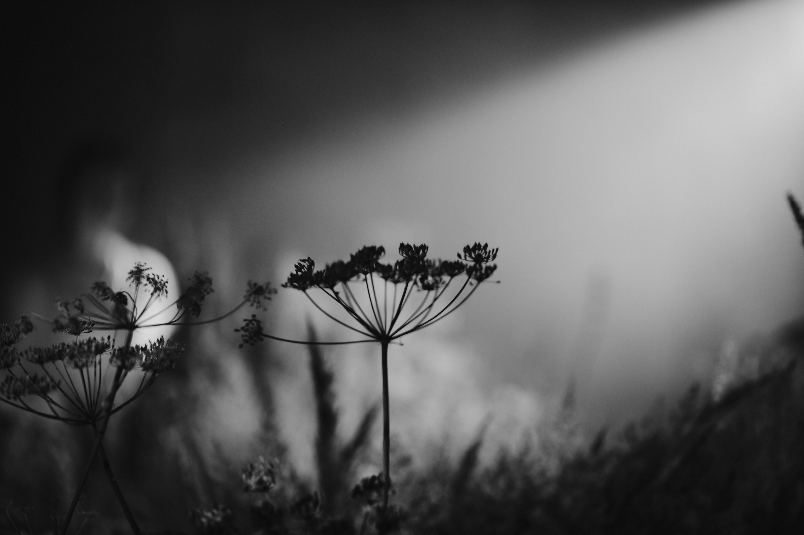 НЕСВОЕВРЕМЕННЫЕ МЫСЛИ. Коммерческий фотограф в Казани Ксения Добролюбова