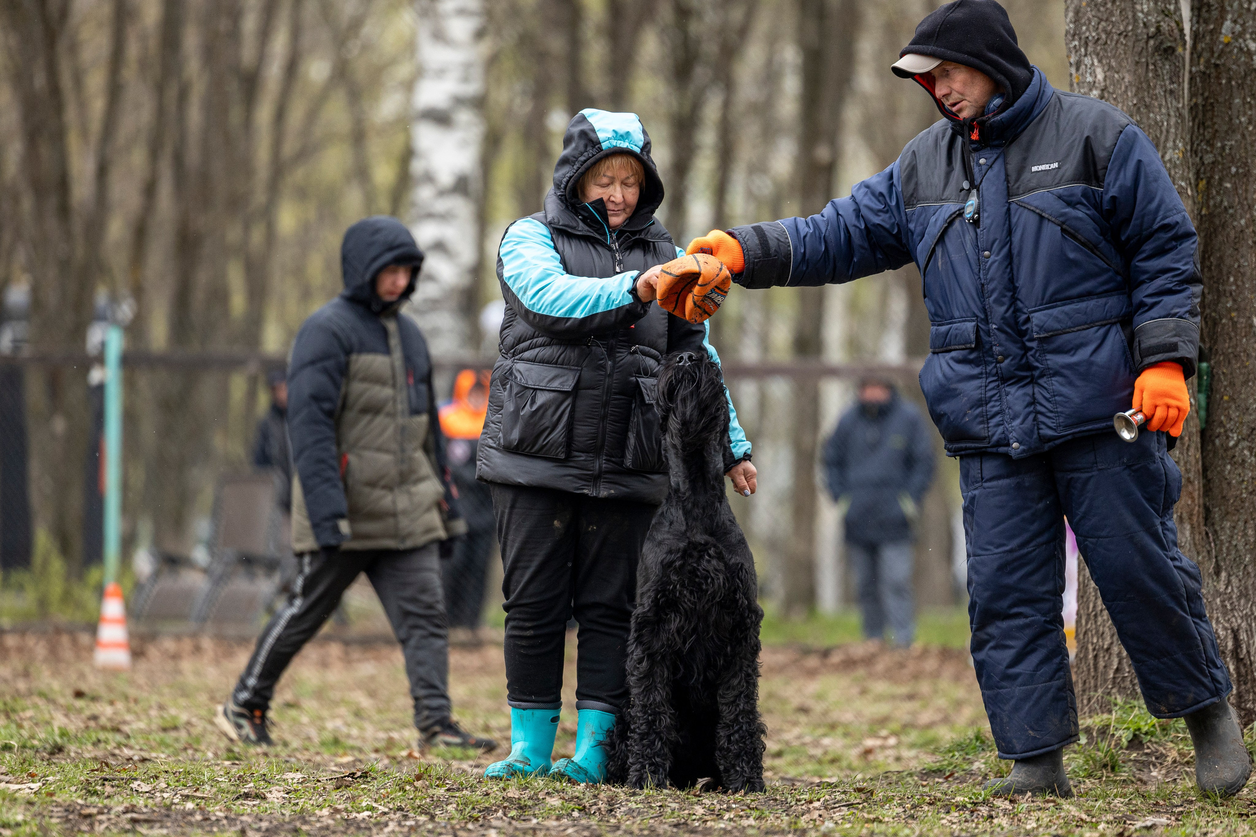 Квалификационные состязания по мондьорингу г. Вологда 11.05.24. Фотограф-анималист Анна Маринич