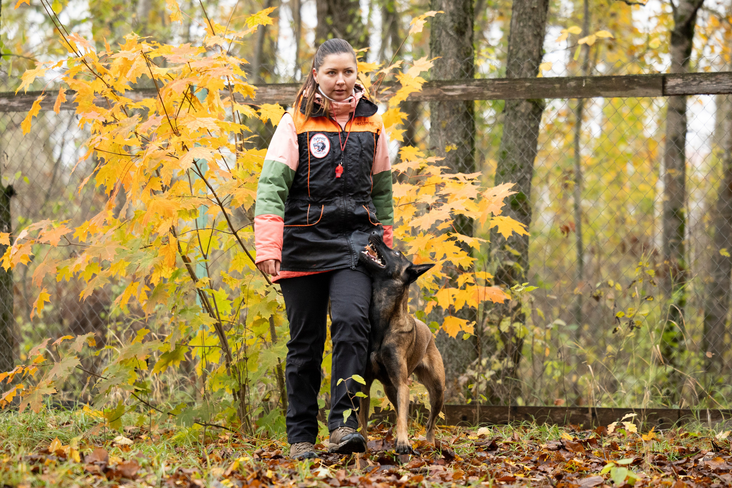 Соревнования по Мондьорингу г. Вологда. Фотограф-анималист Анна Маринич