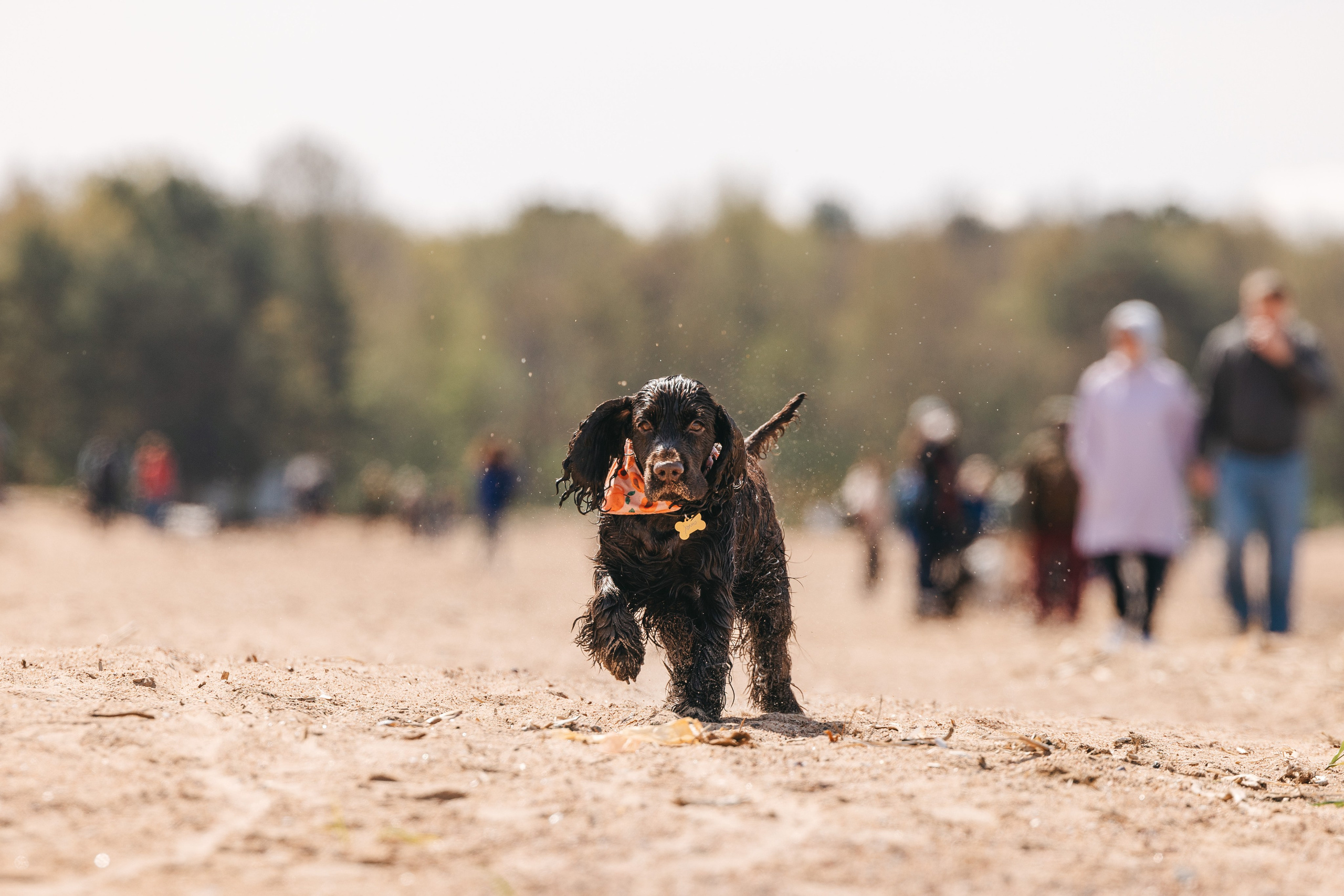 Спанимания. Фотограф анималист Осипчикова Мария