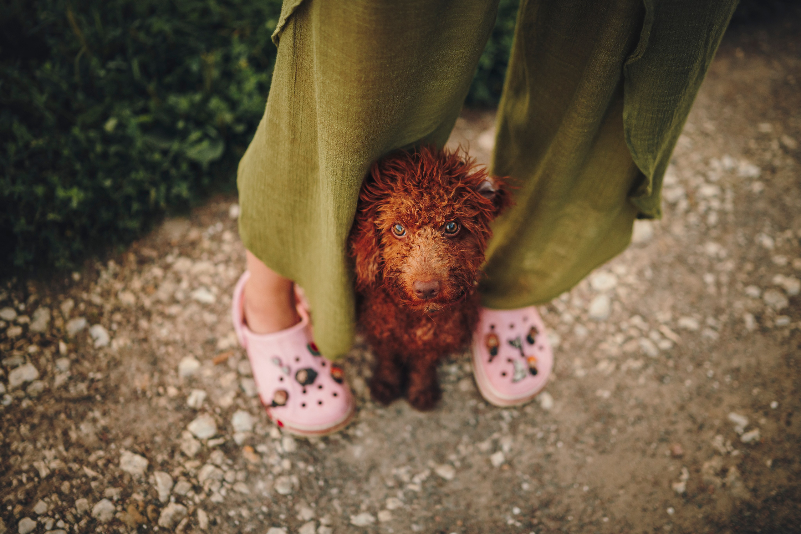 Марина, Тарас и Хагрид. Семейный фотограф анималист Ананьева Мария — Москва