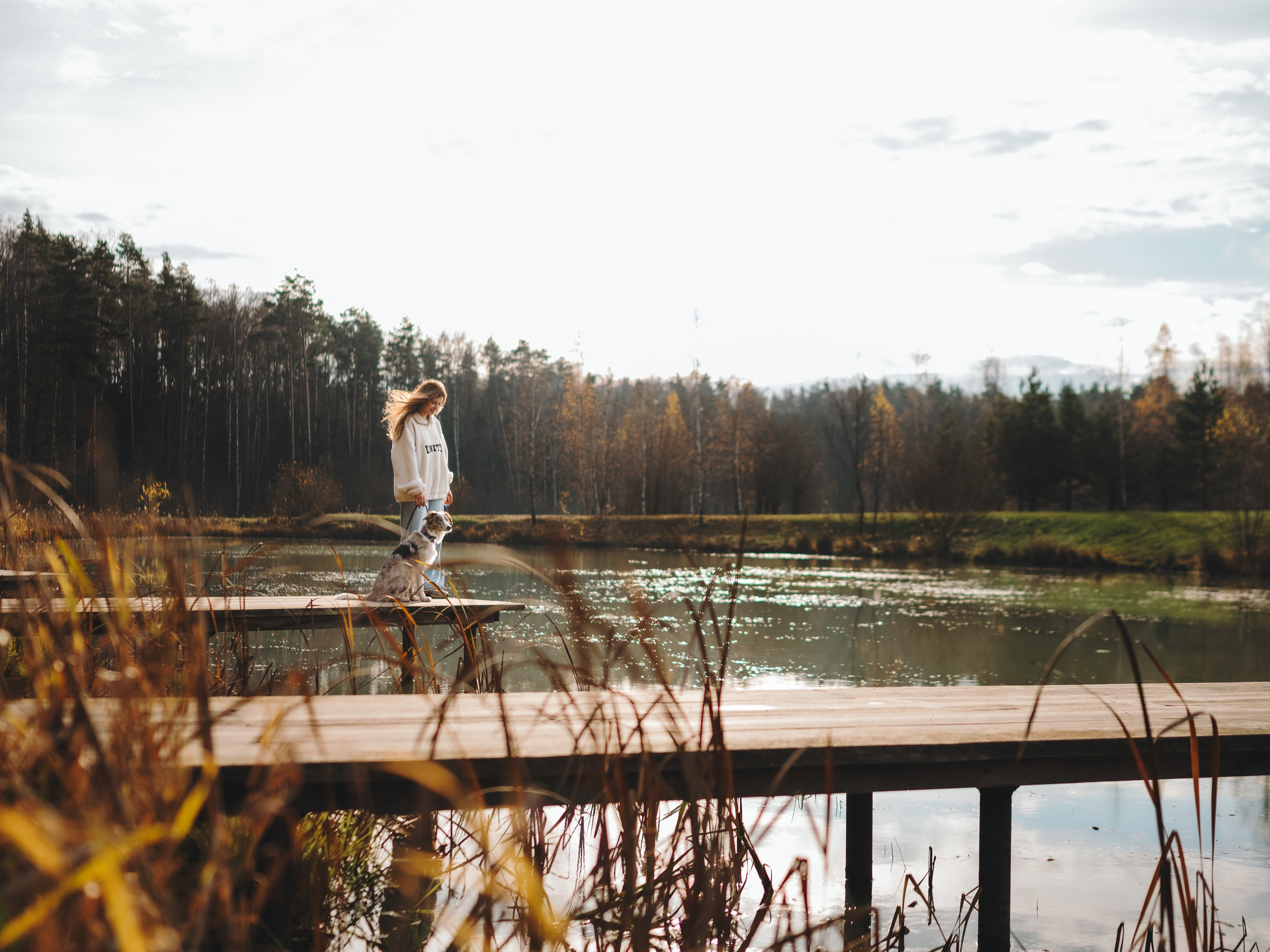 Настя, Максим, Орео и Норд. Семейный фотограф анималист Ананьева Мария — Москва