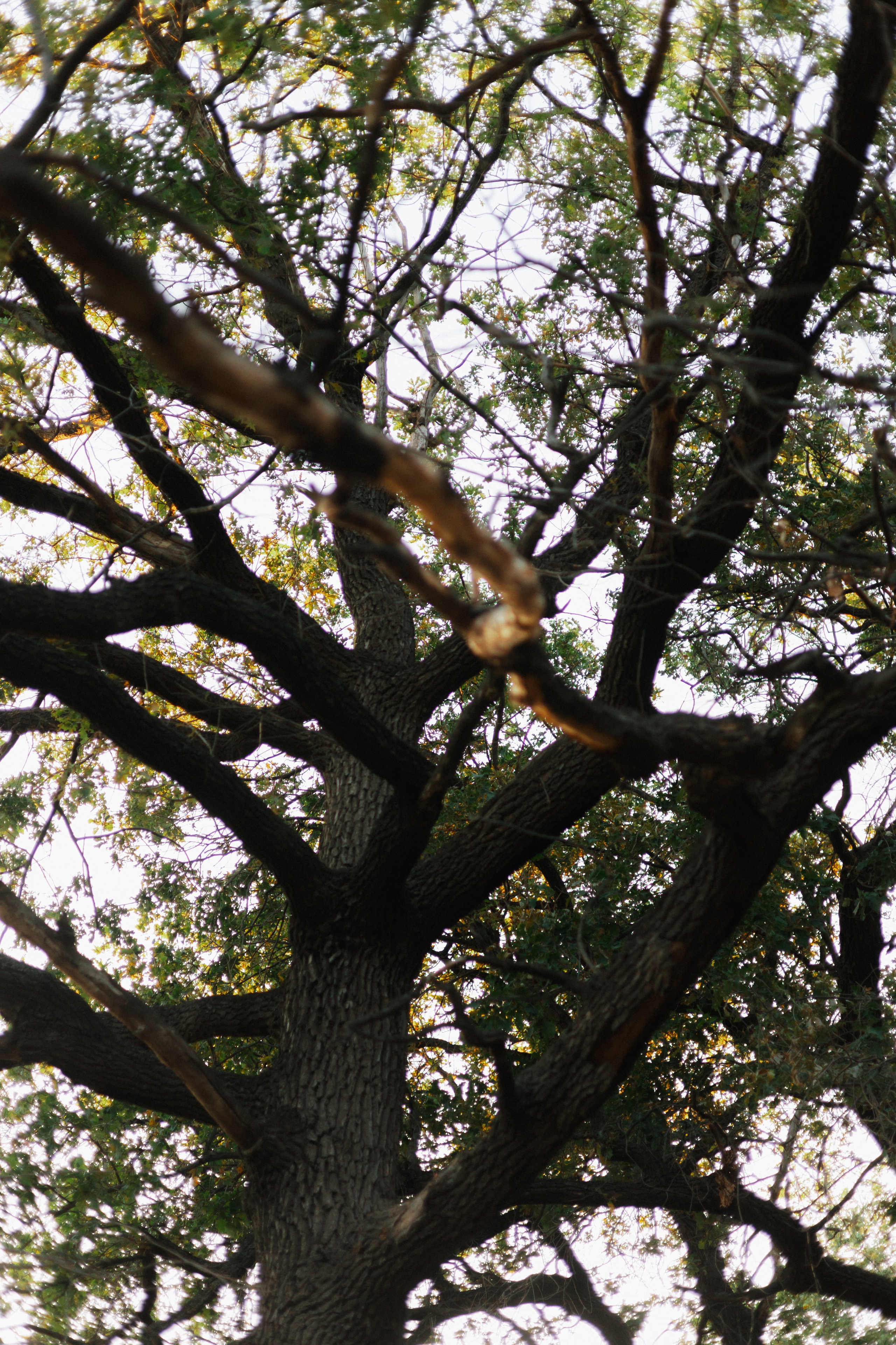 Мне 1 год. Ланемец Юлия — фотограф Волгоград/Волжский