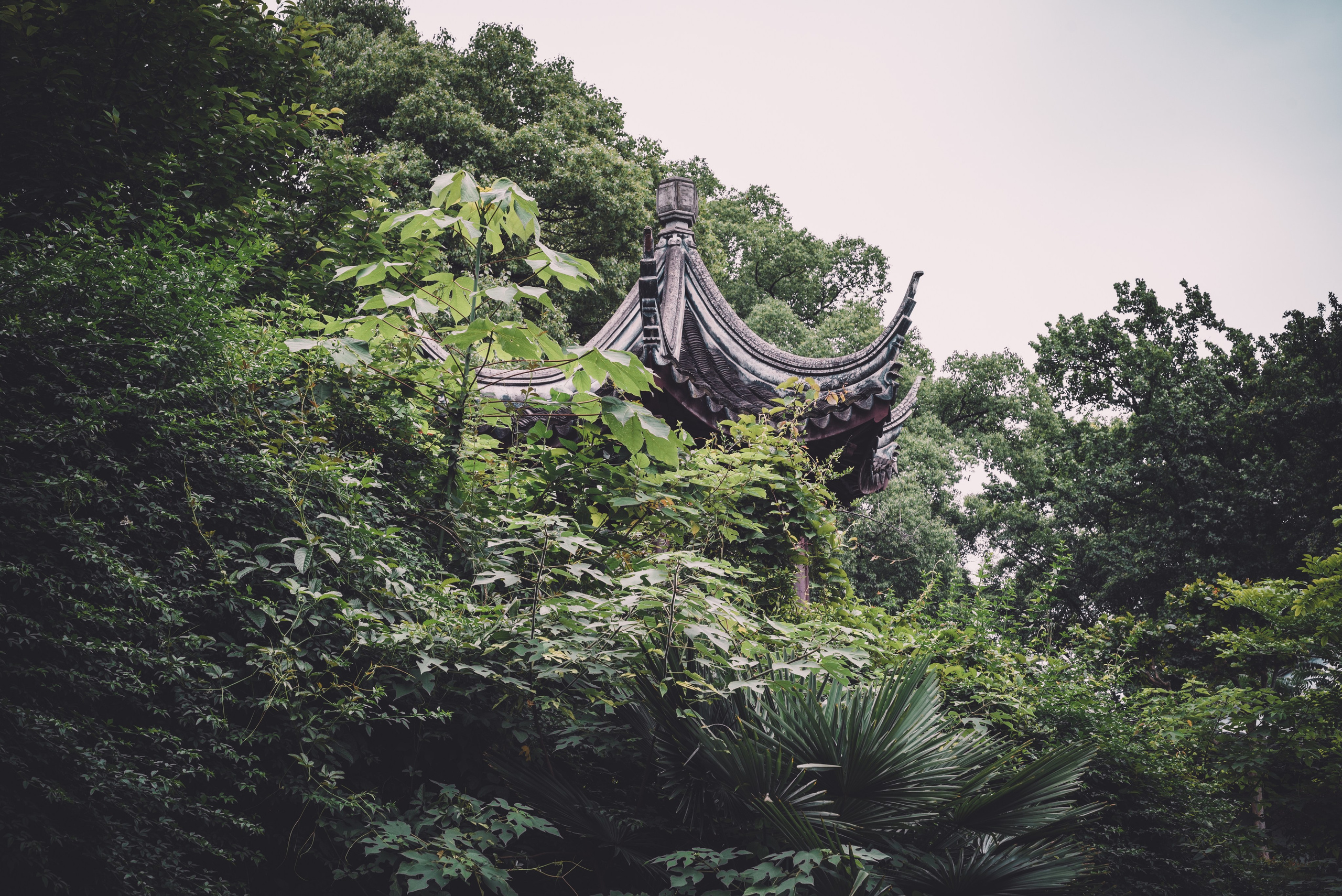 Рекламный фотограф из Гуанчжоу: путешествие по Уханю через объектив камеры. Коммерческий и предметный фотограф в Гуанчжоу Коваленко Александр