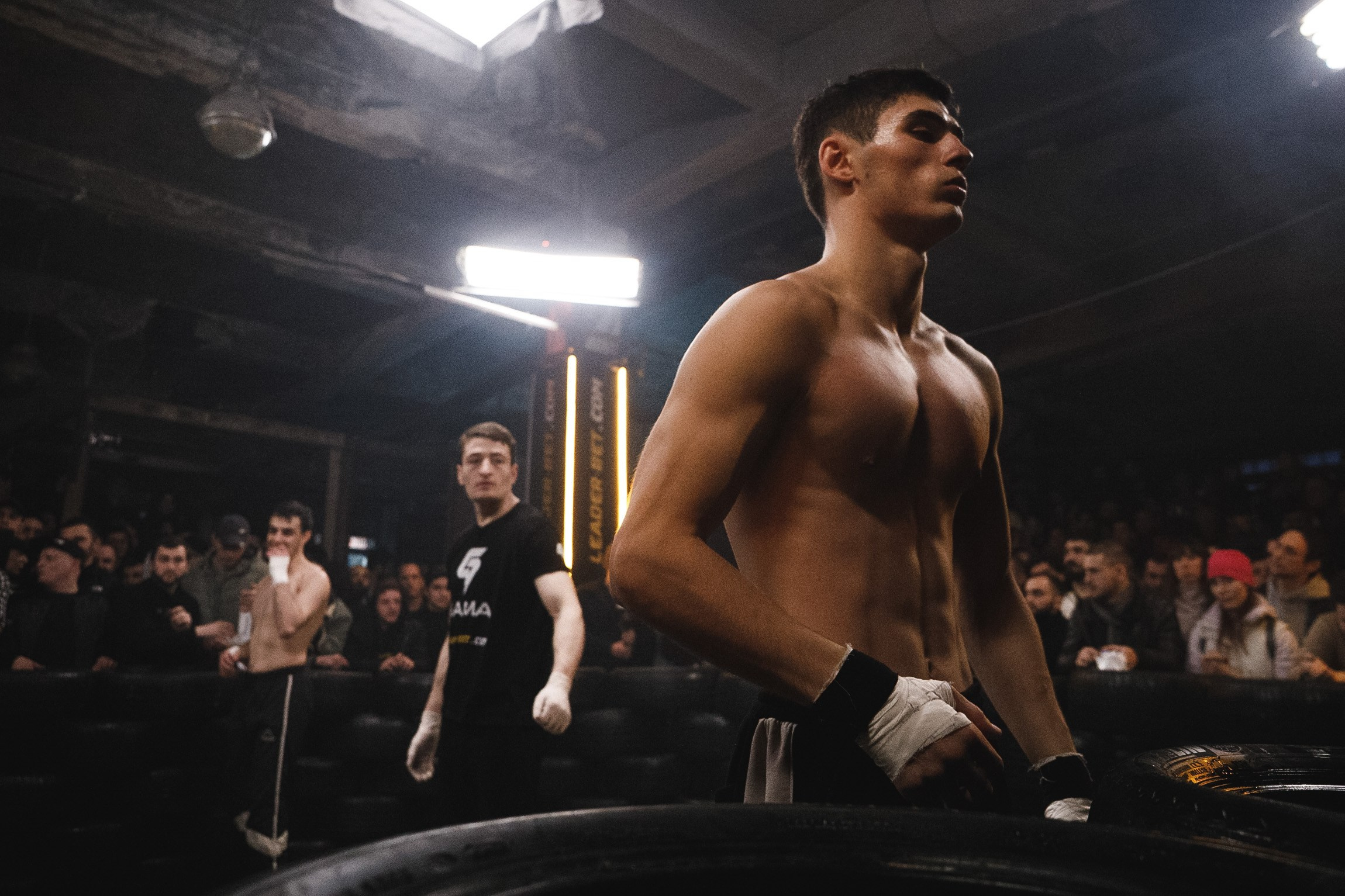 Fights // Social. Bivol images