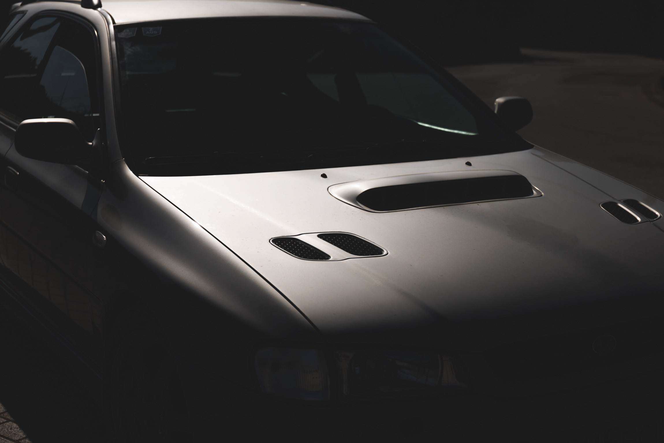 Lifestyle. Bivol images