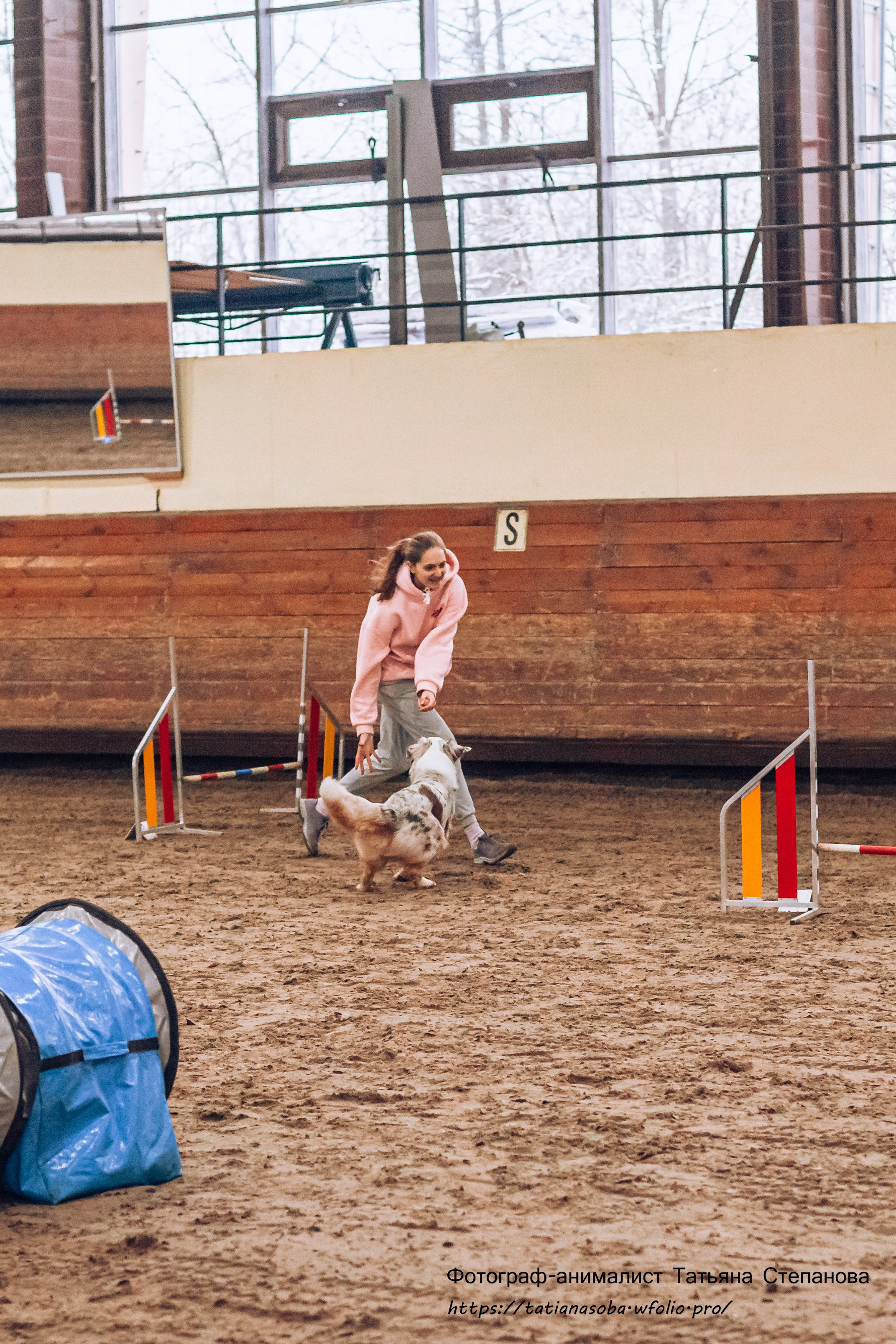 Соревнования по Аджилити 25.02.2024. Фотограф-анималист Татьяна Степанова