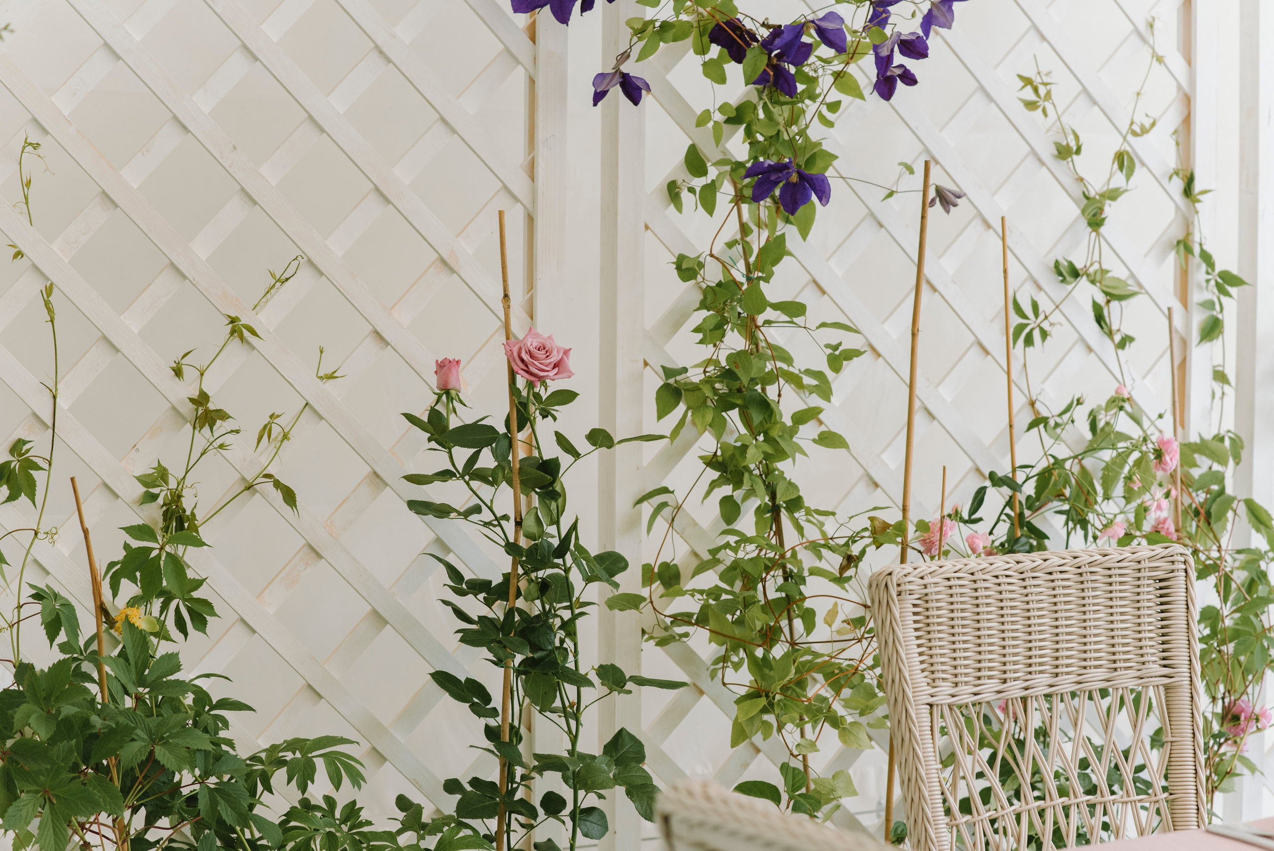 Ресторан Причал. Оформление свадеб, декор свадеб Вера Маркова, Москва