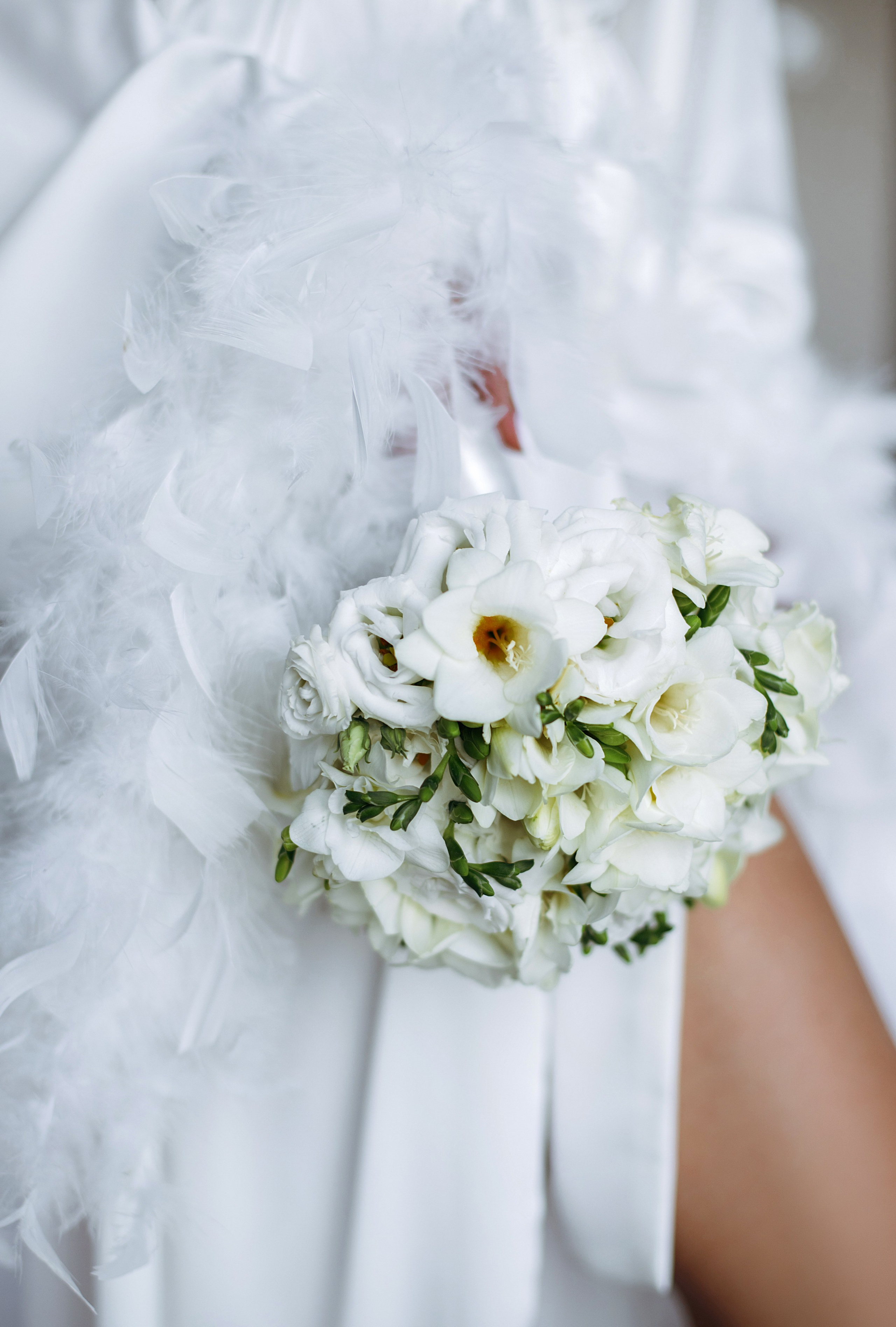 Контакты. Фотограф Минск — Светлана Жук