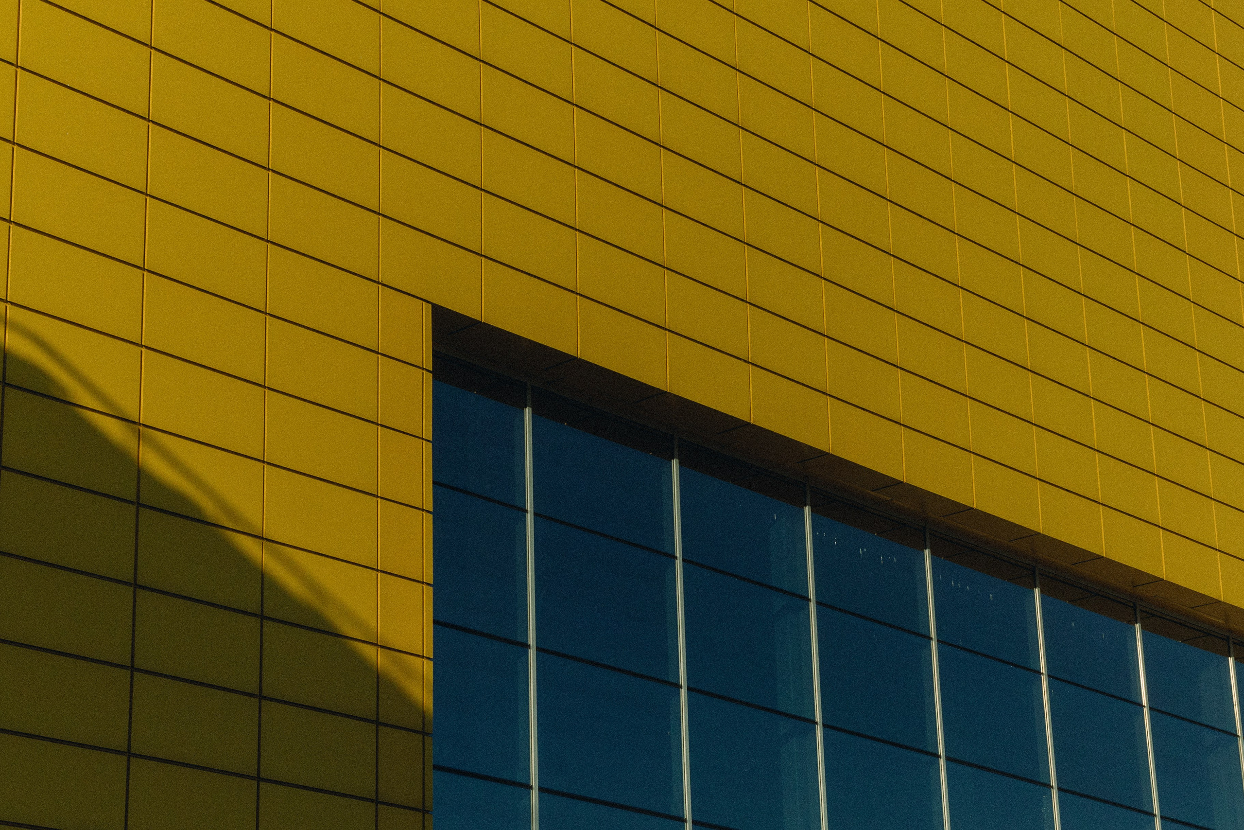 № 27. WAYHAY — Портретный фотограф