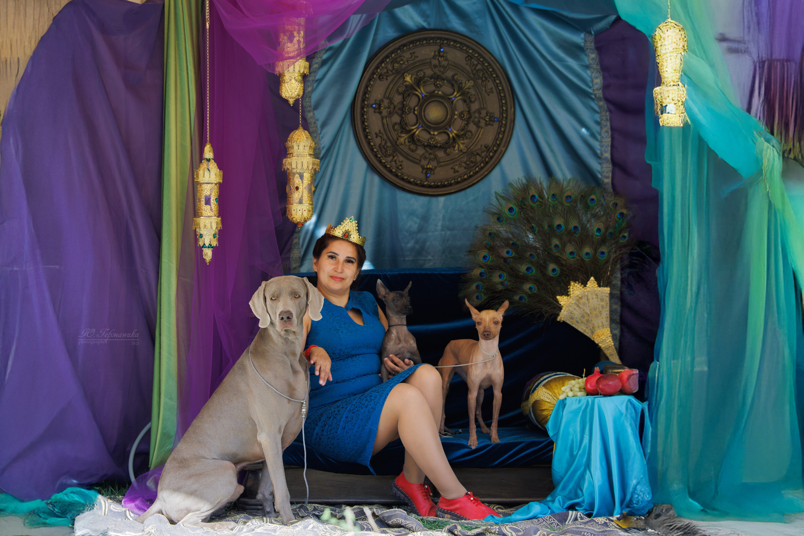 Ташкент 3хCACIB 3-5.10.2025. Фотограф-анималист Юлия Германика