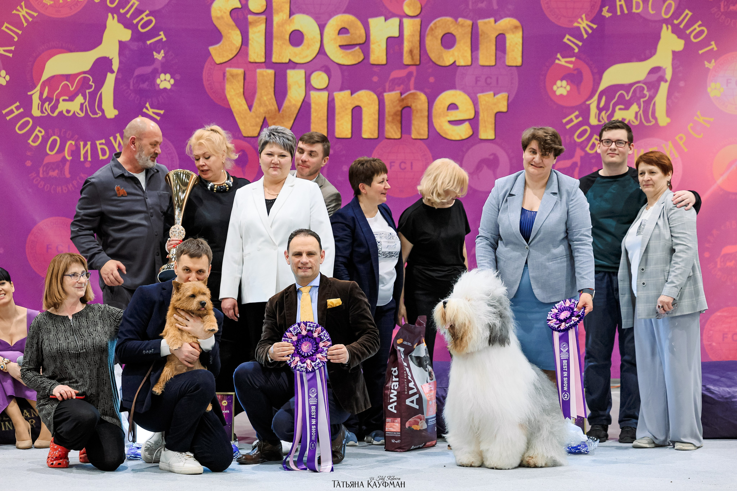 28-29.03.2026 Рейтинговая выставка в Новосибирске. Фотограф Анималист из Новосибирска Татьяна Кауфман