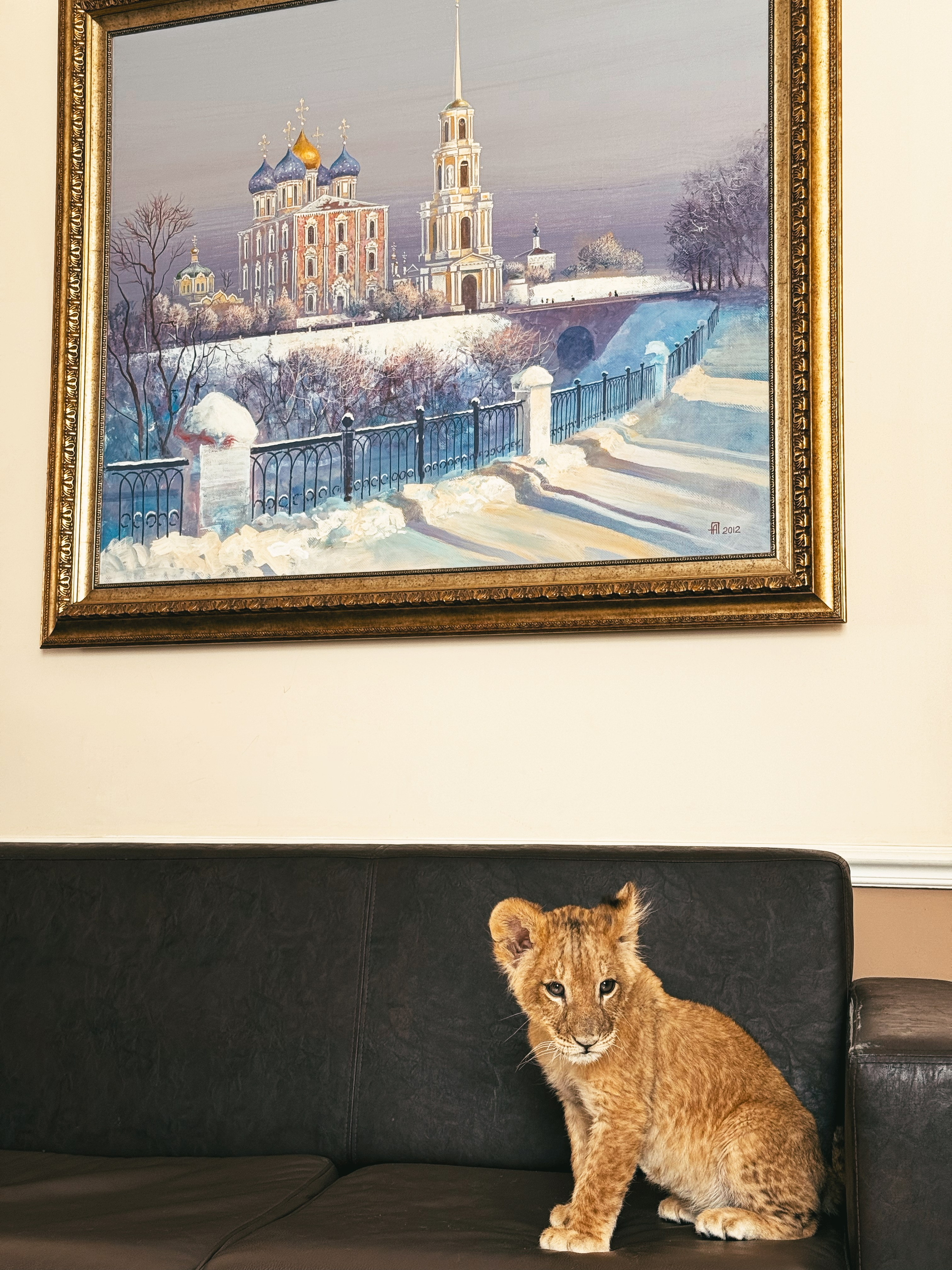 Mobile. CamToGo with Aleks