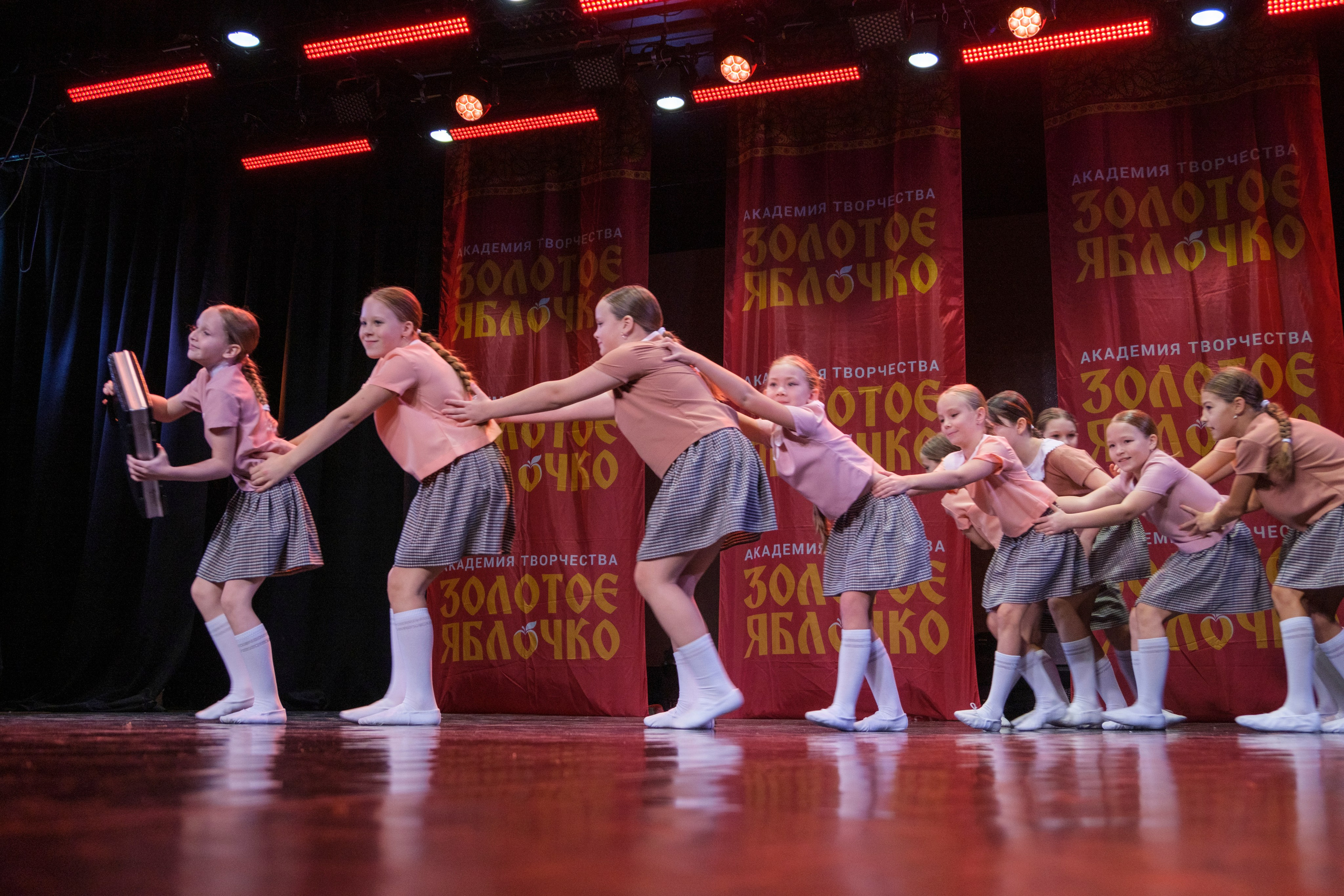 17 ноября, г. Великий Устюг. Золотое яблочко