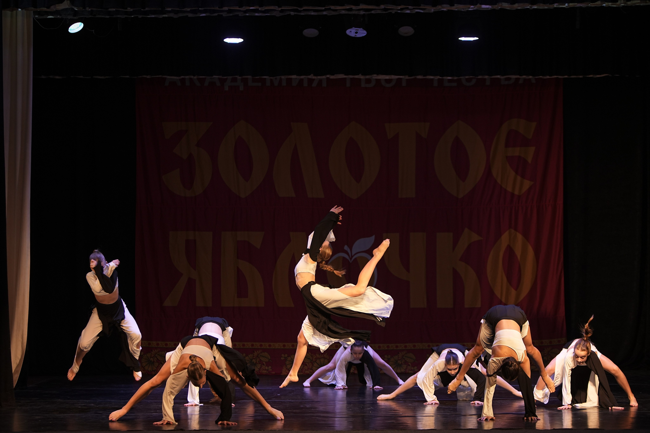 14 декабря, г. Тула. Золотое яблочко