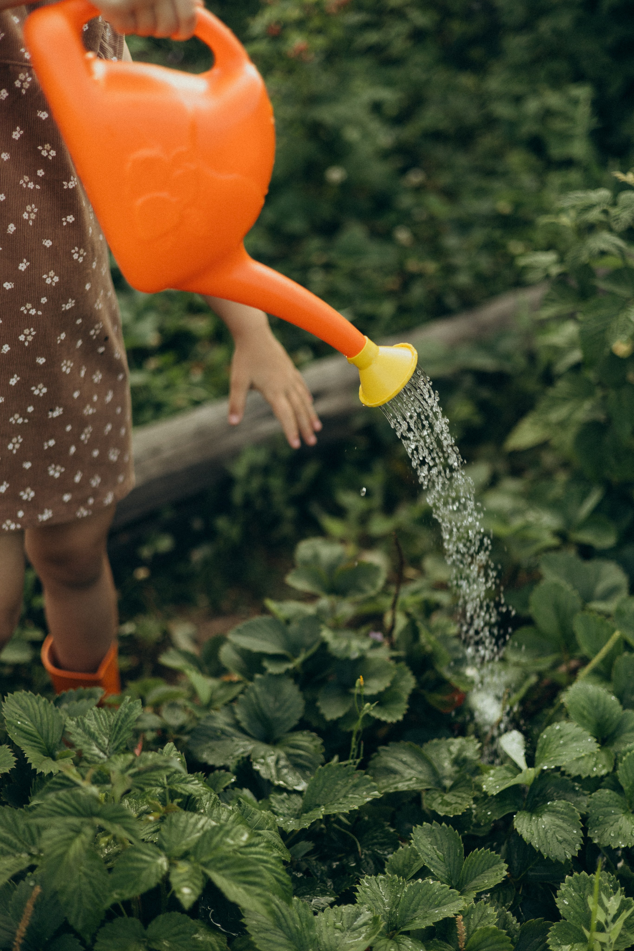 Хорошо в деревне летом…♡. Фотограф в г. Чита