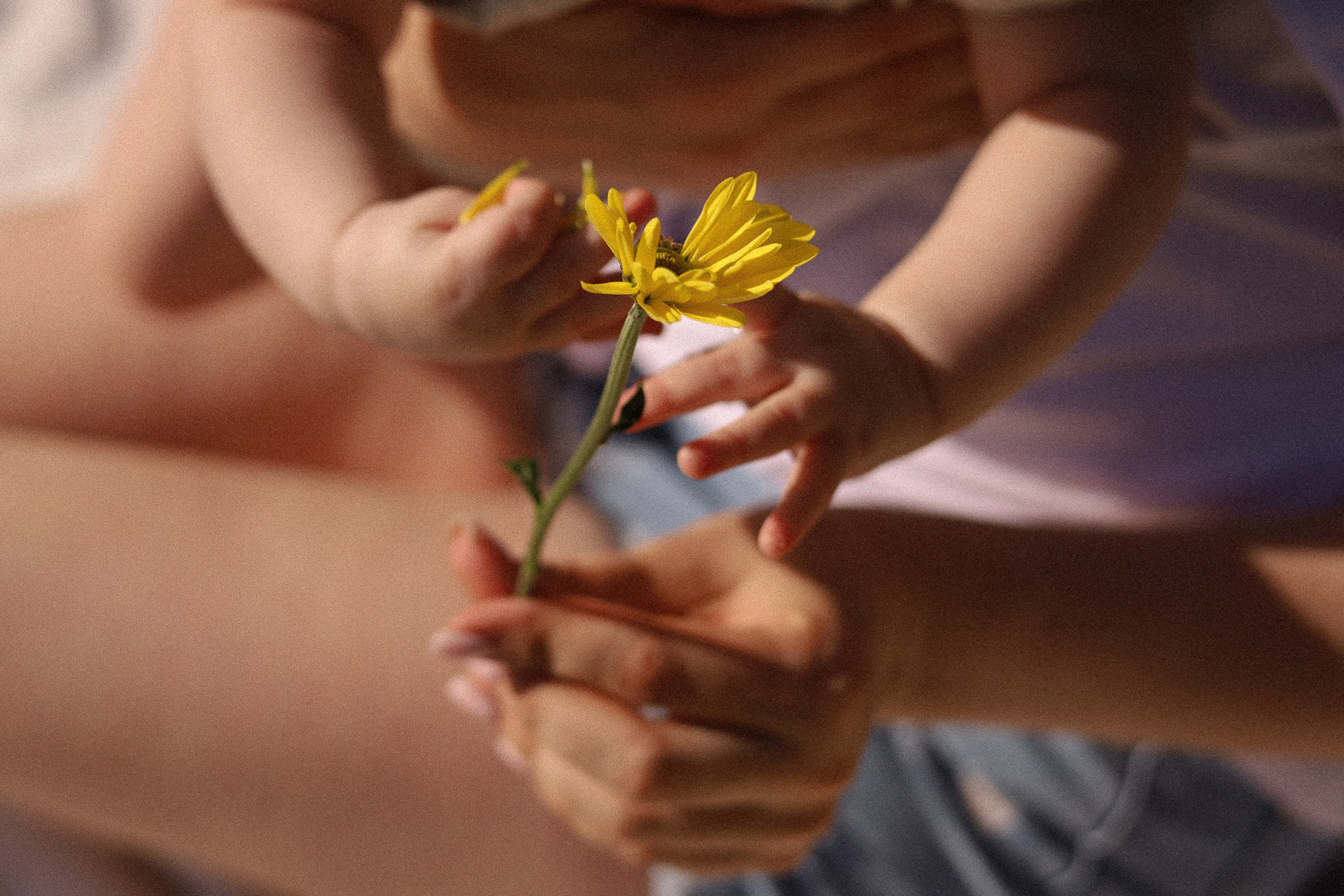 Семья Юли ♡ Димы. Фотограф в г. Чита