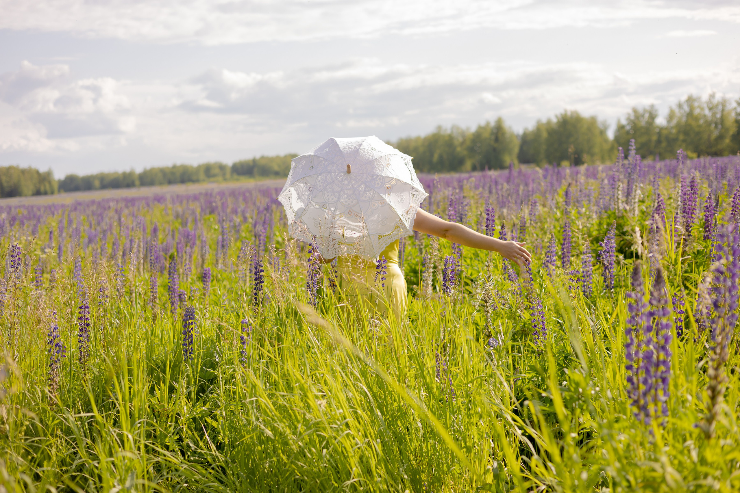 Фотосессия в люпинах