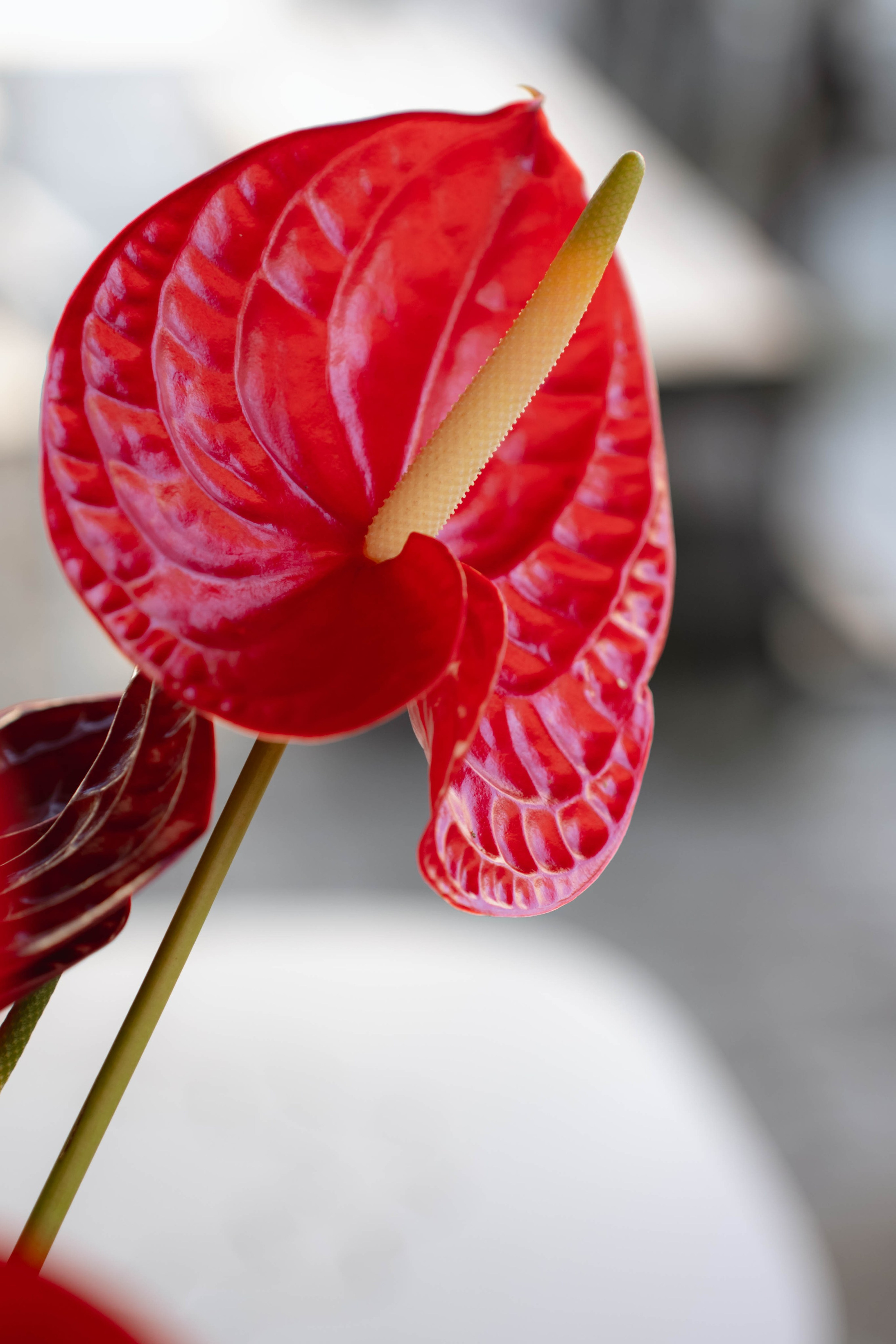 MIN SIN x Surf Coffee. Репортажный фотограф в Казани Виктория Трунова