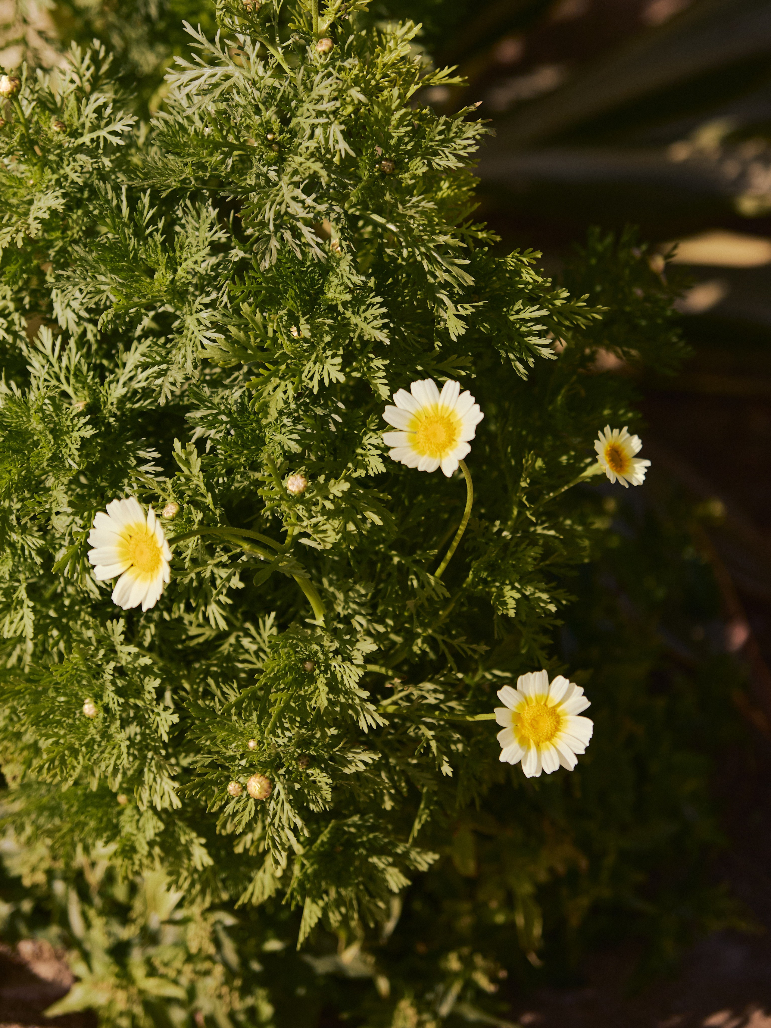 Природа. Jorgis Talè — photographer, kind person, teacher of arts and other mag