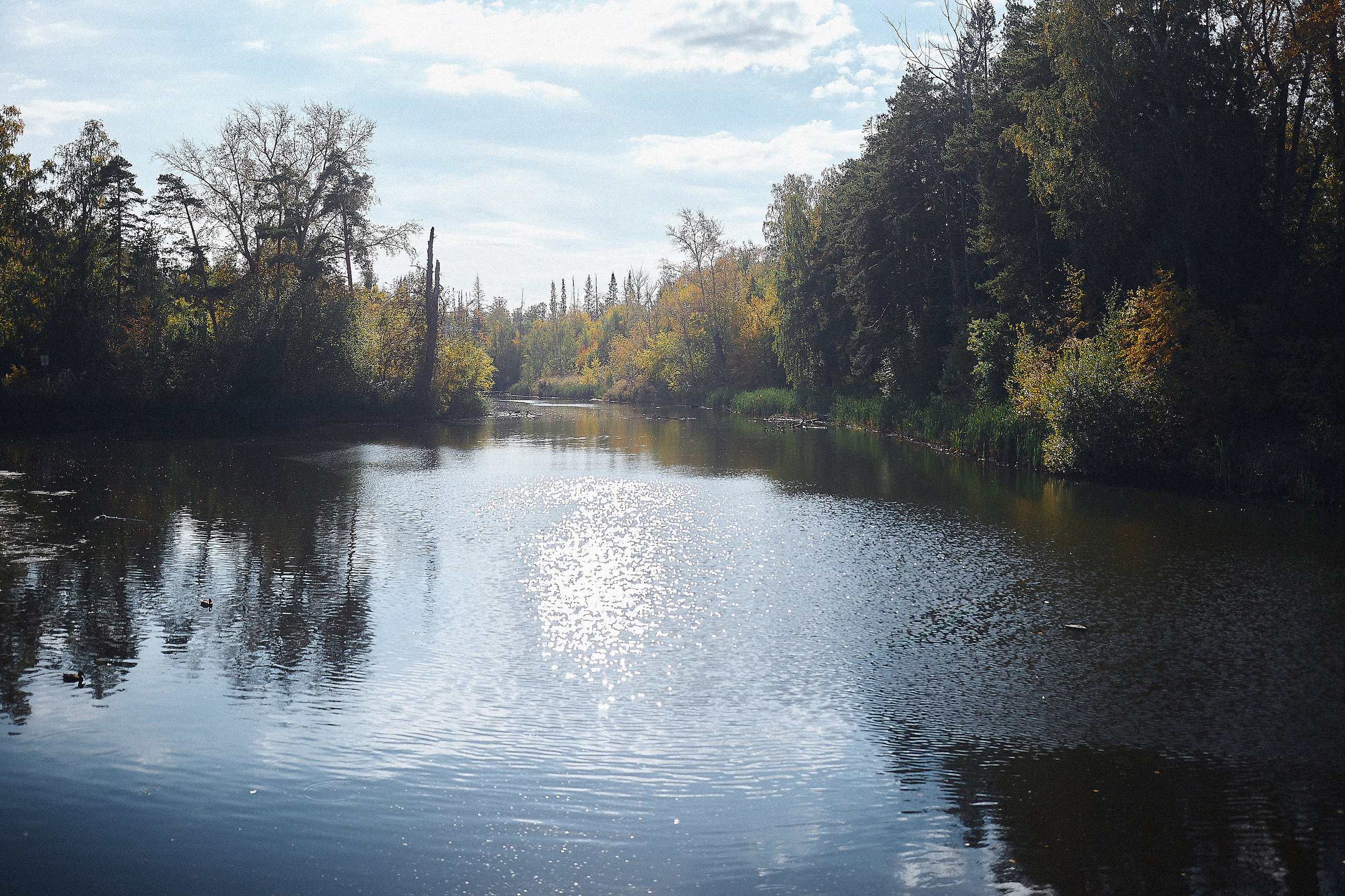 Владимир и Ирина. Иван Март Свадебный и портретный фотограф Тюмень