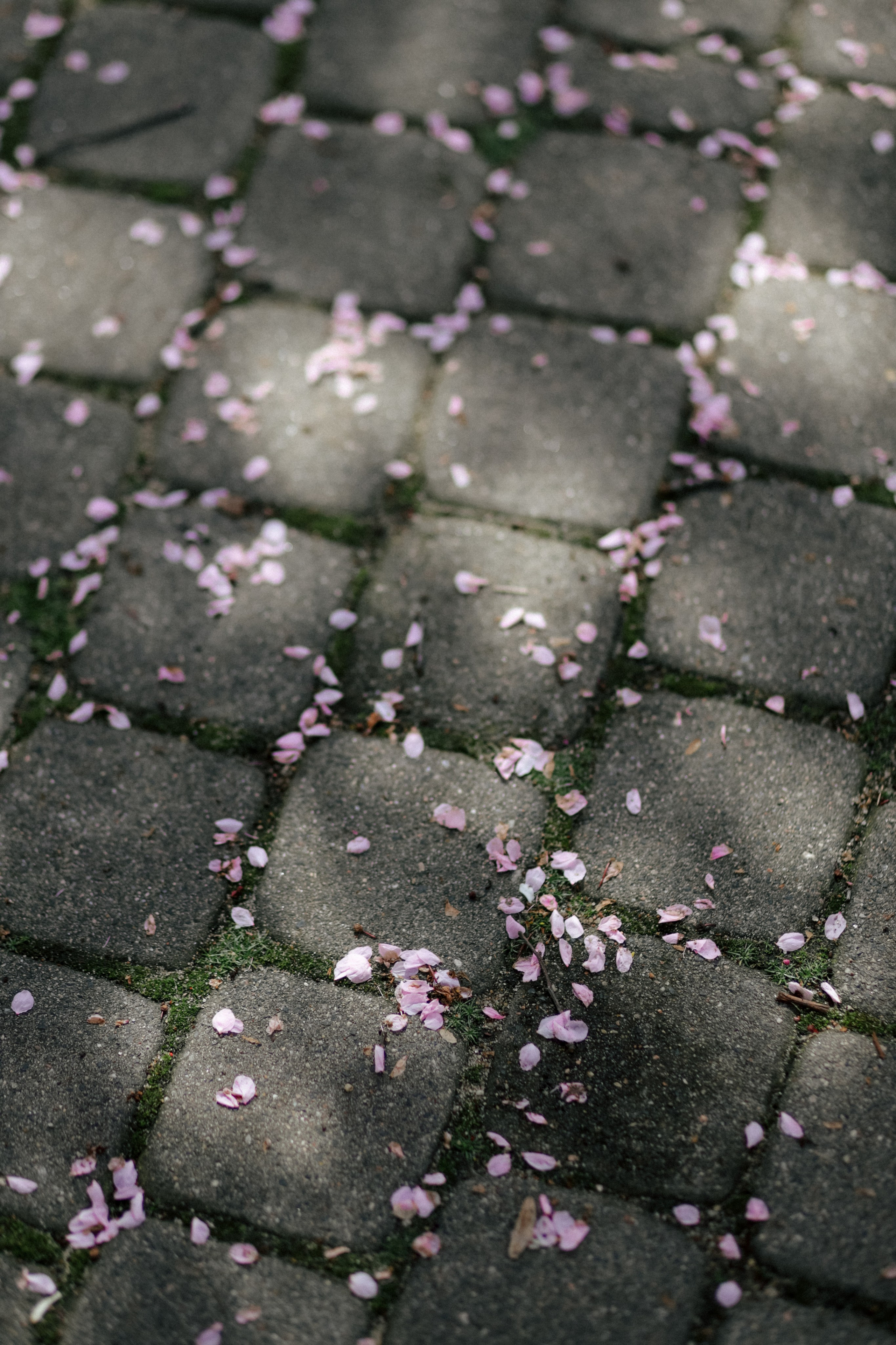 Цвет города. Свадебный и семейный фотограф в Варшаве