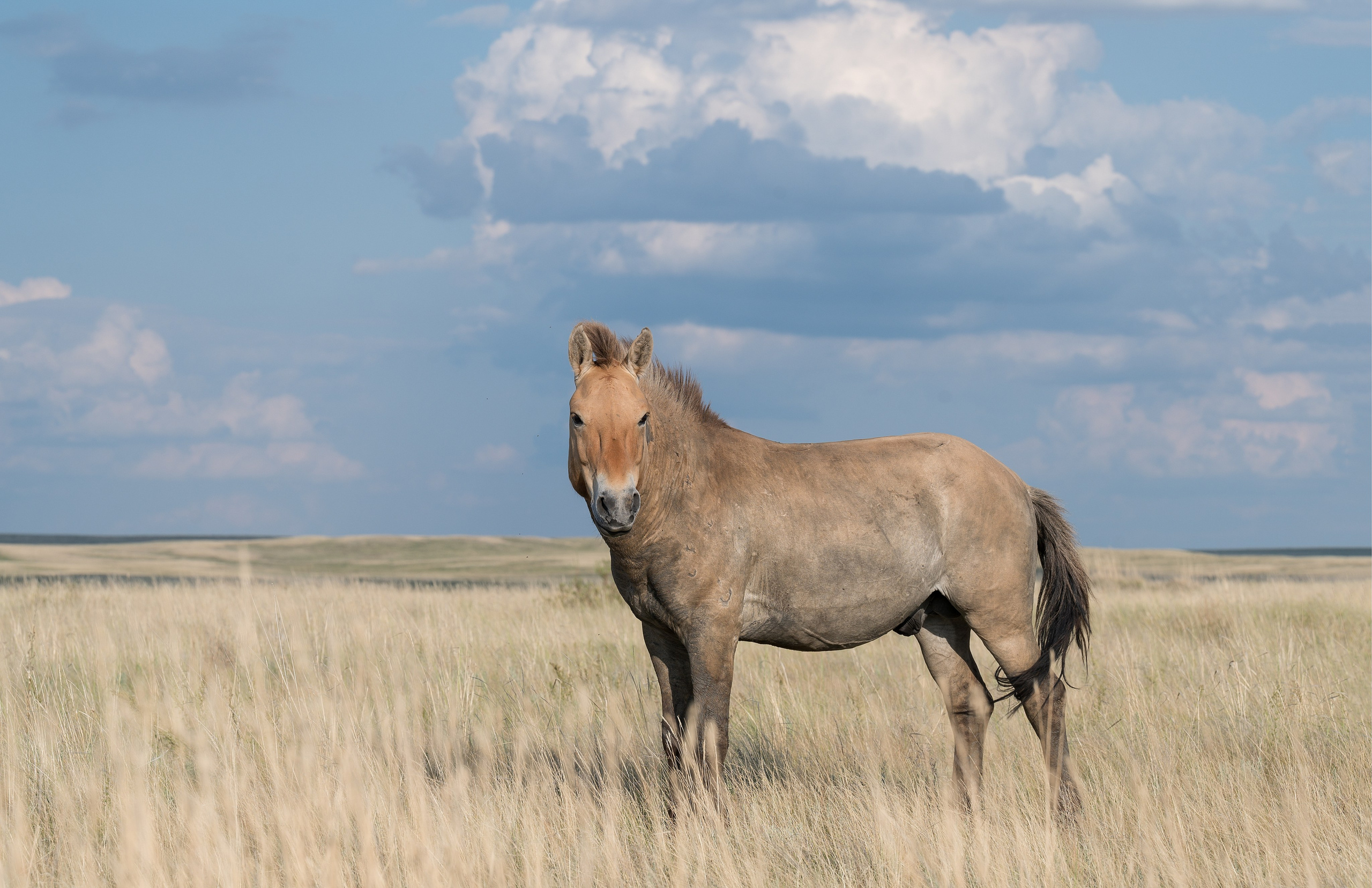 Оренбуржье. Портретный фотограф в Челябинске Катерина Руди