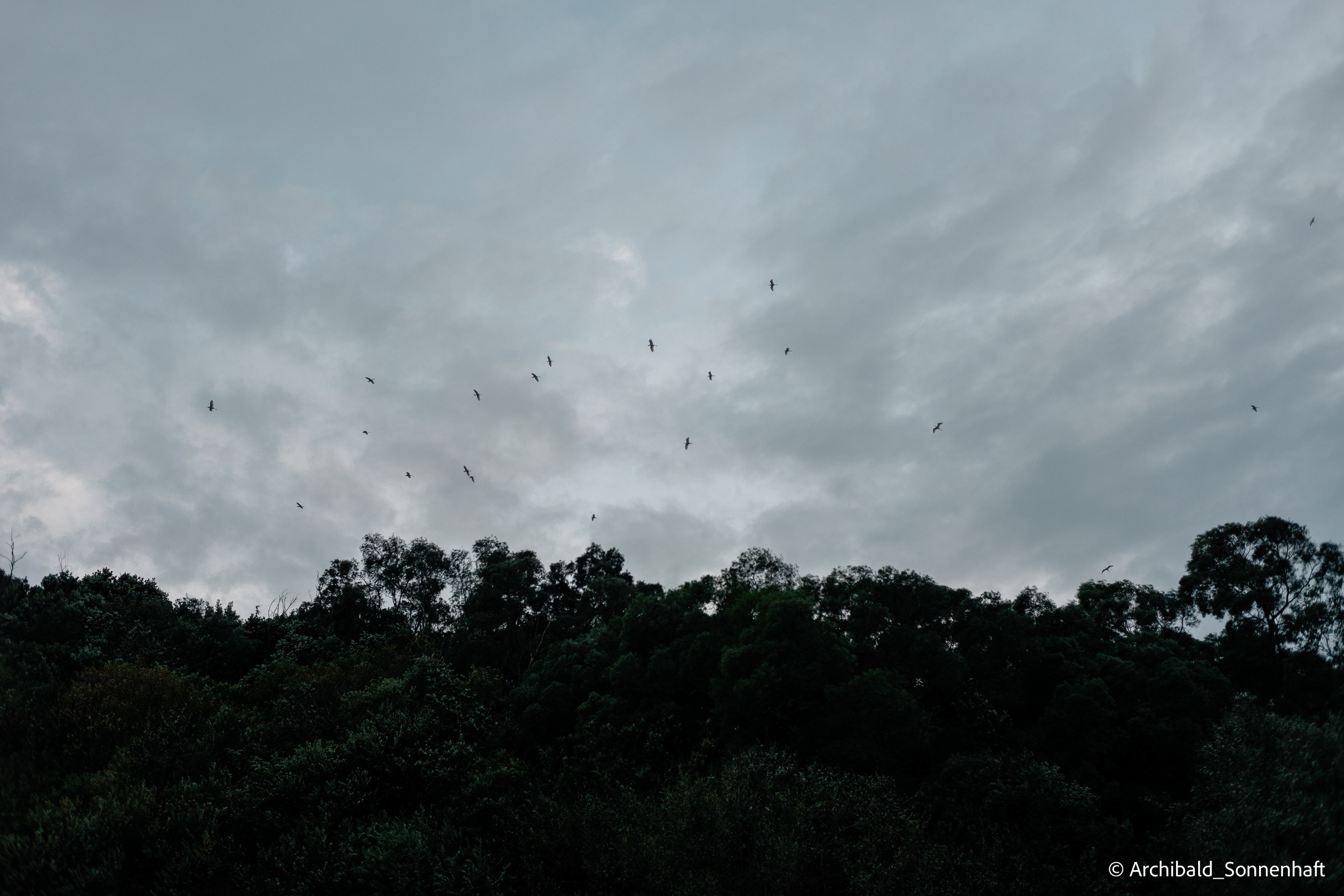 Kayaking in Huizhou, China. Photographer in Guangzhou, China. Archibald Sonnenhaft