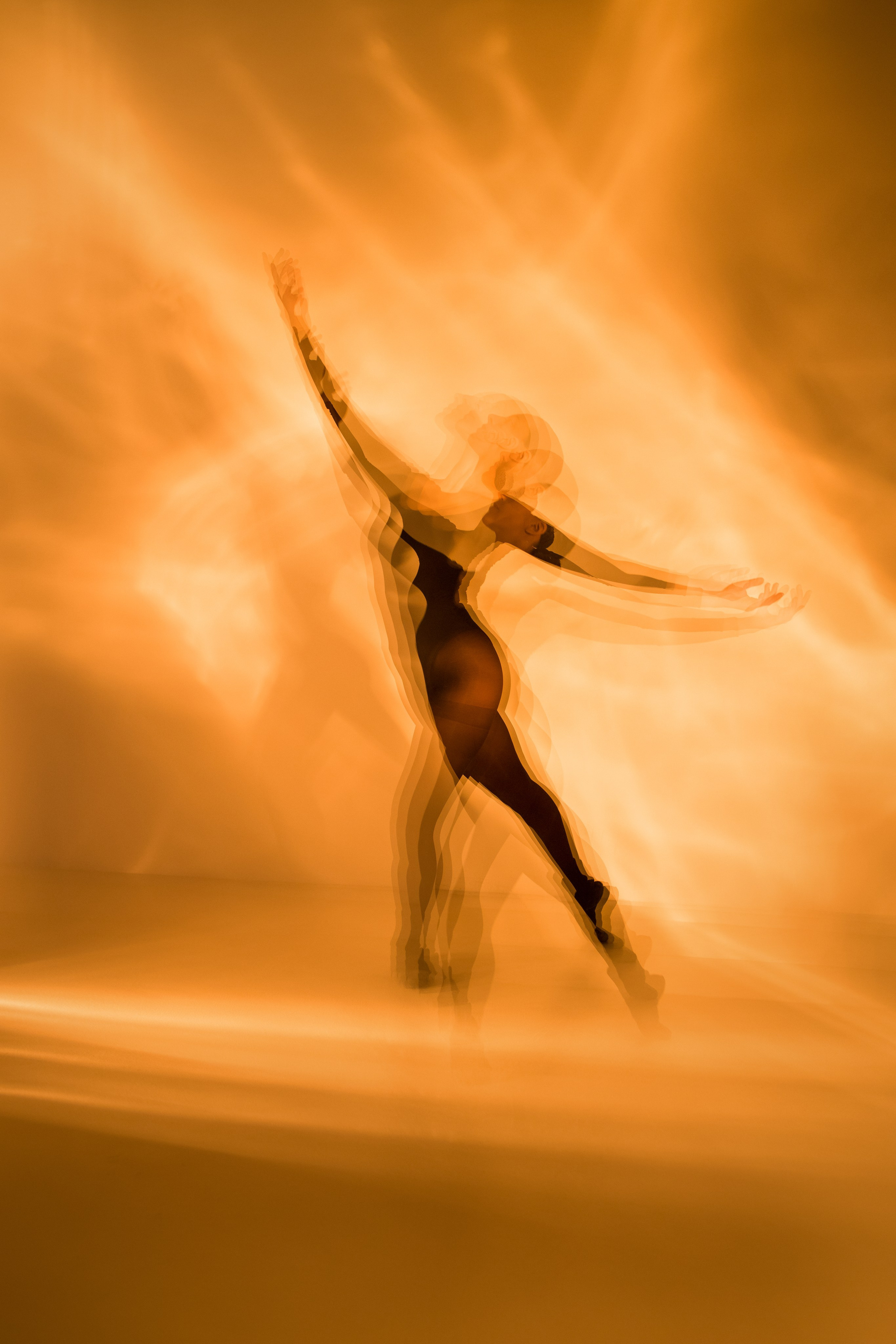 Лилия. Художественная фотография