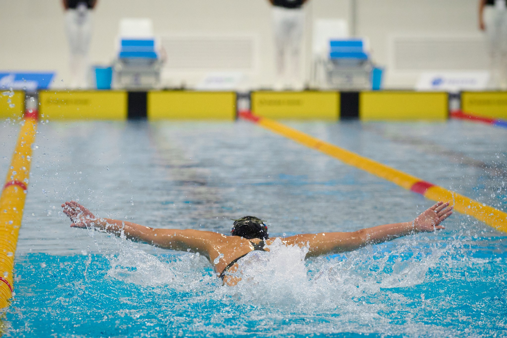 Кубок России по плаванию 2024 г. Екатеринбург. Мезенцев Евгений фотограф