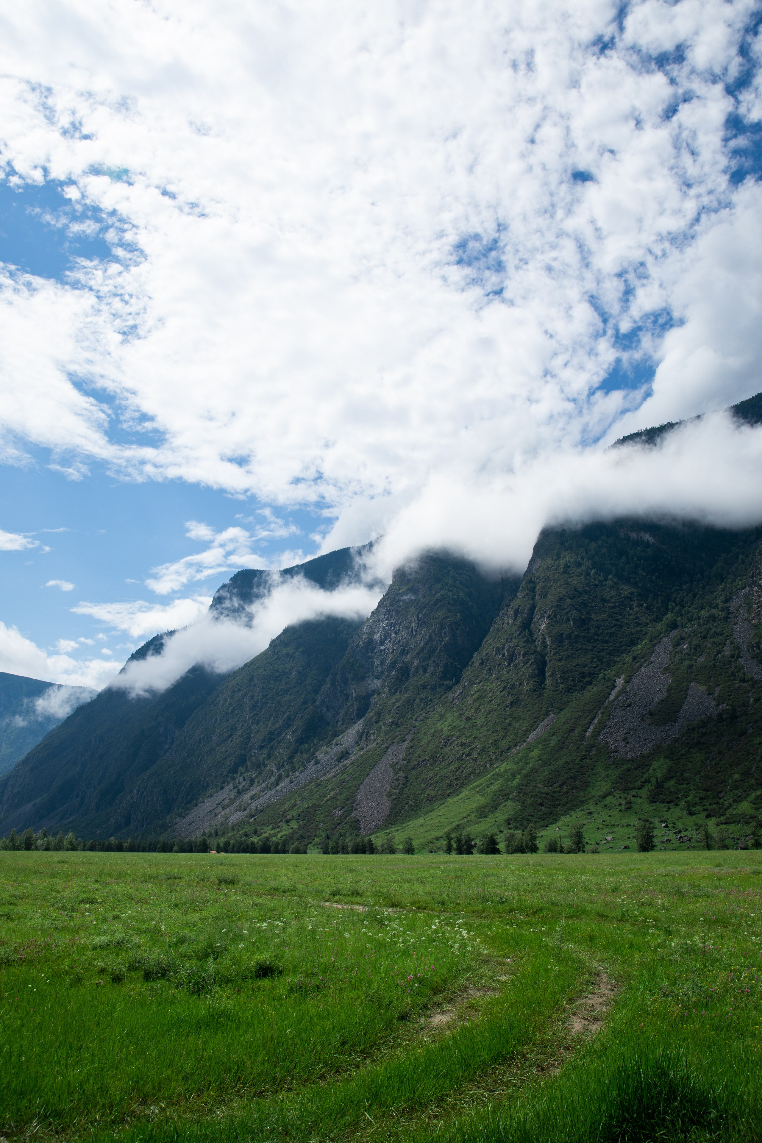Altai. Yulia Tsyganova