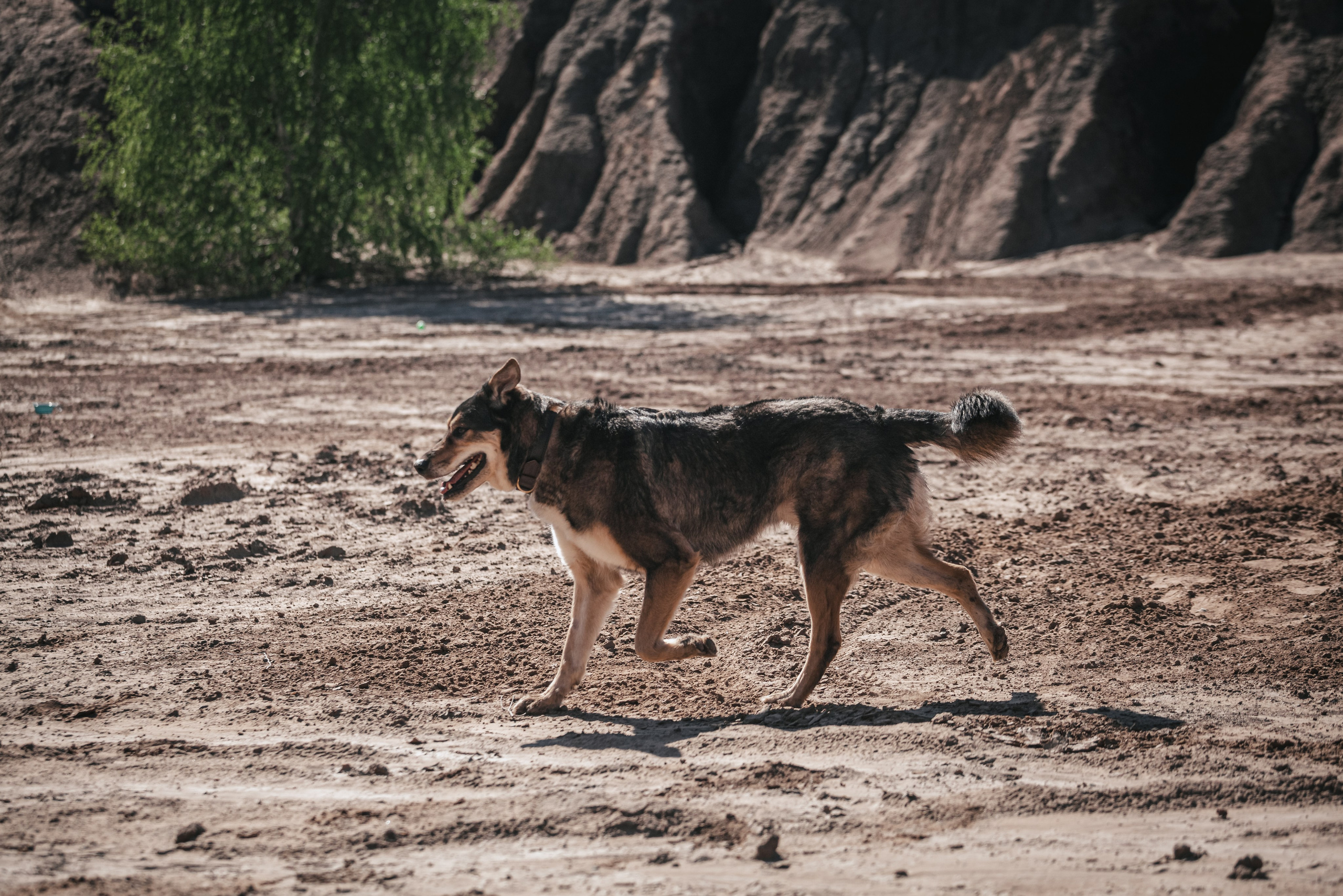 Кондуки. Фотограф-анималист Татьяна Степанова