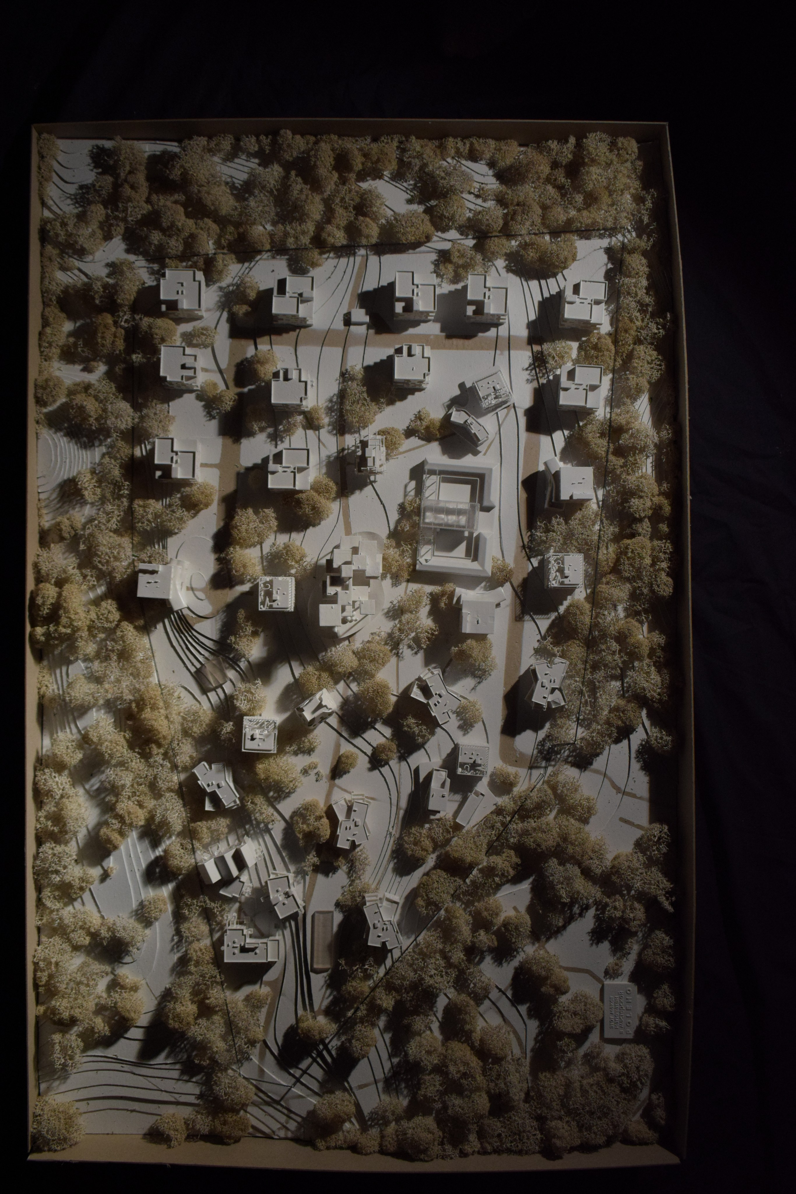 Курсовой макет поселка для студентов МАРХИ часть3. 3D печать