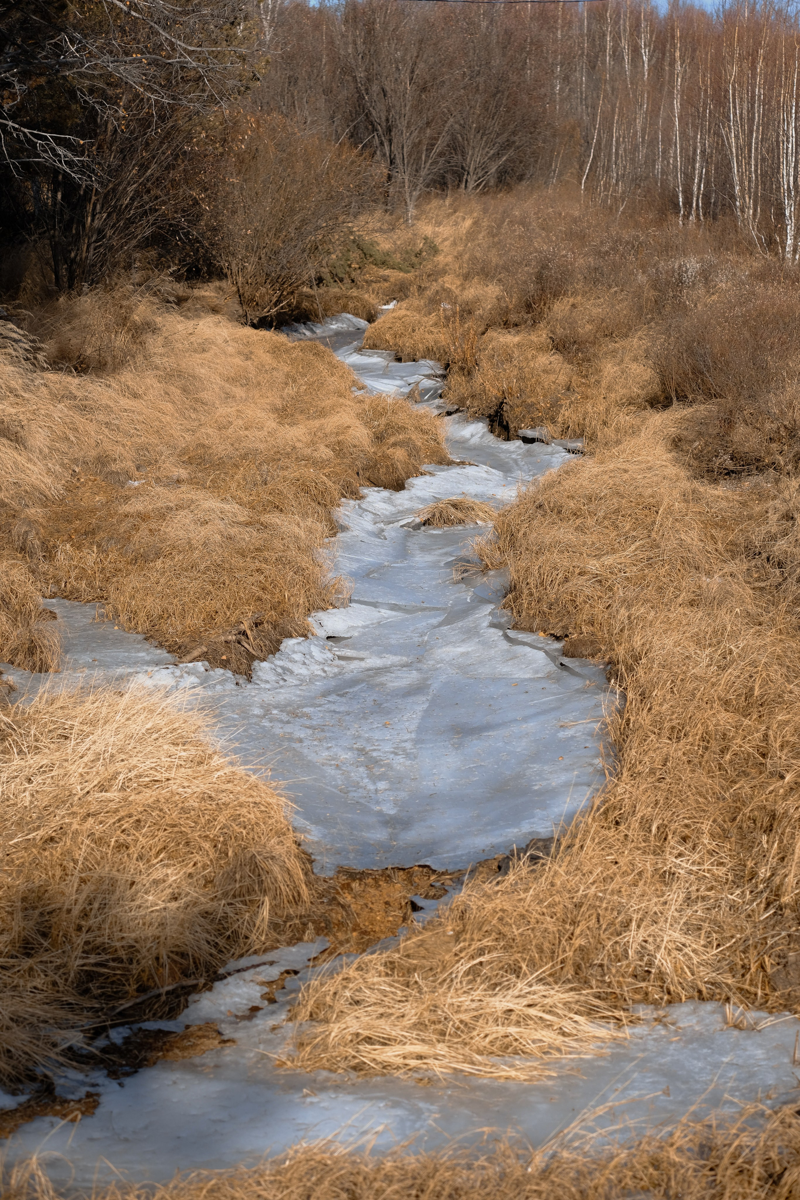 Фотосессия в ленд-арт парке Тужи. Портретный фотограф в Чите Анна Камратова. Помогу Вам создать историю, в которой Вы — главный герой!