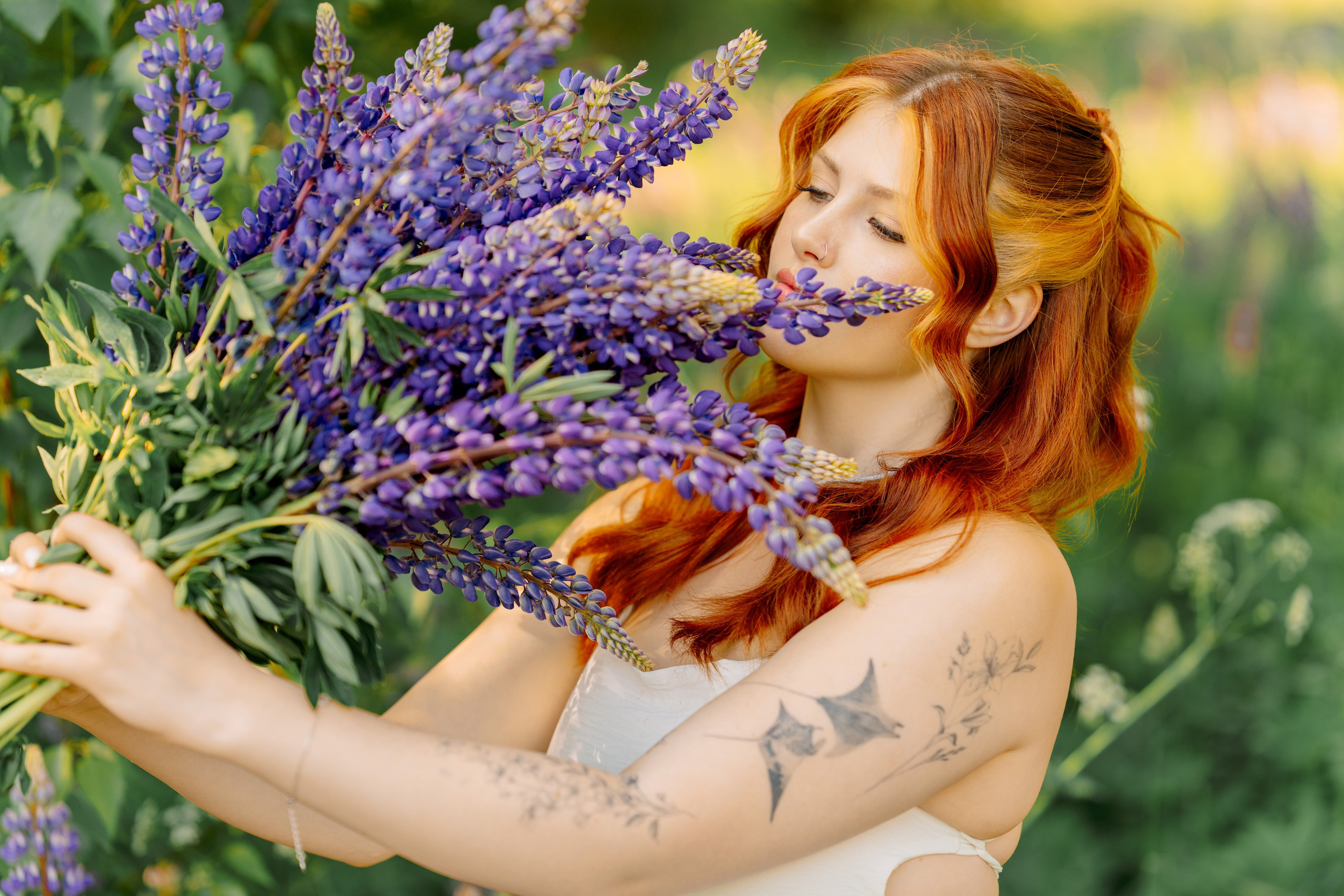 Люпины. Фотограф Юлия Попова