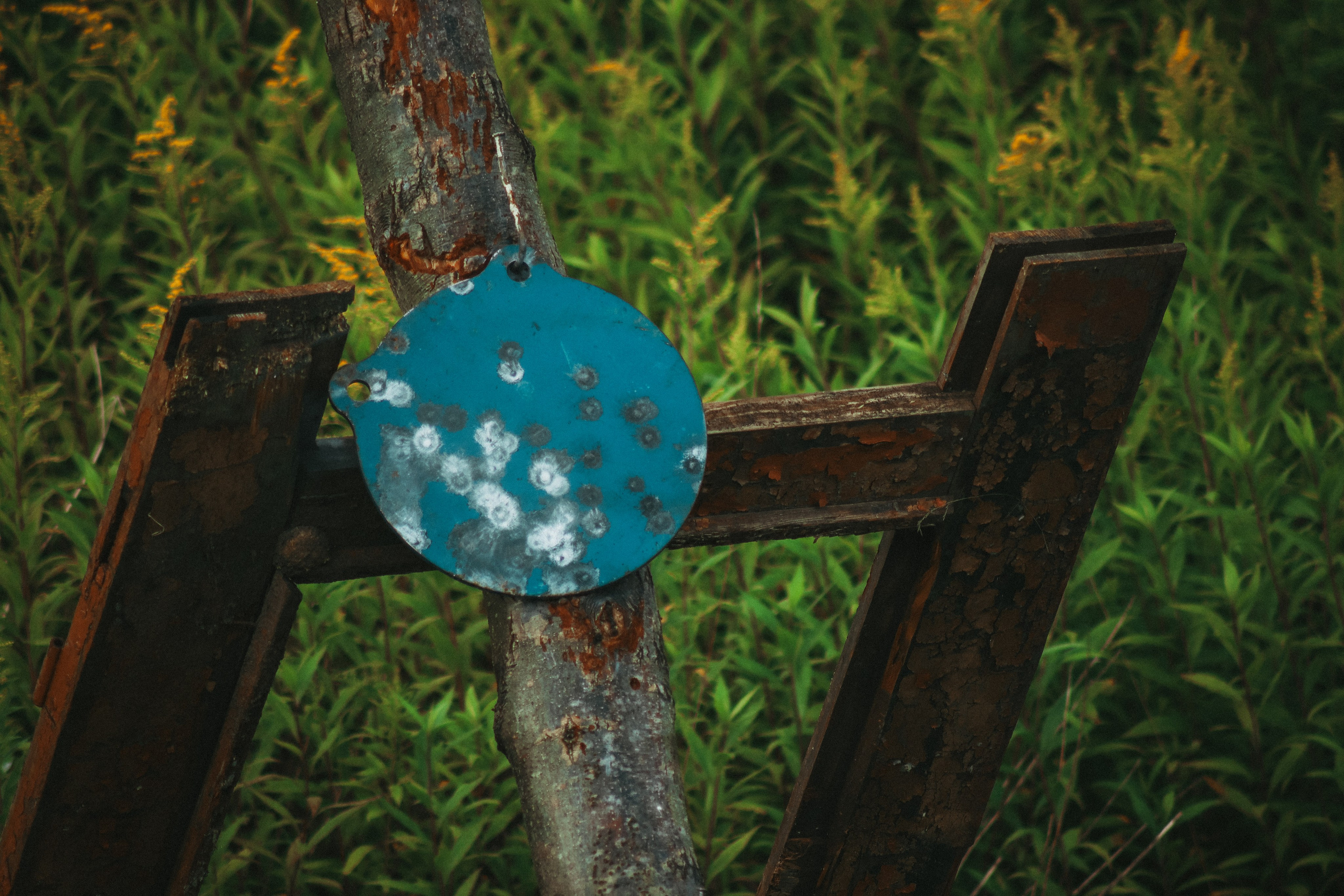 Никита П. (Полигон). — Digital Noise —