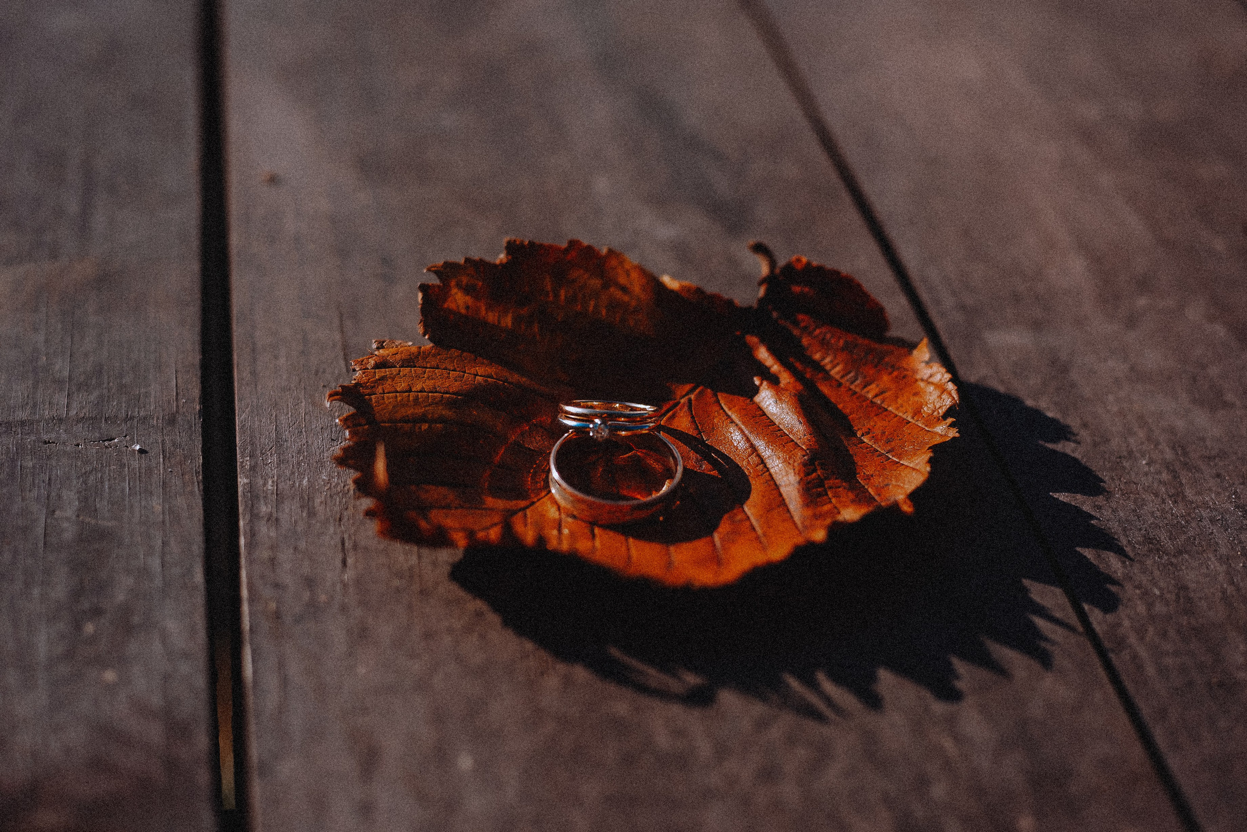 Love.code: Premium Black. Свадебный и семейный фотограф в Москве Сажина Кристина КиМ. Свадебный оператор в Москве Сажин Максим