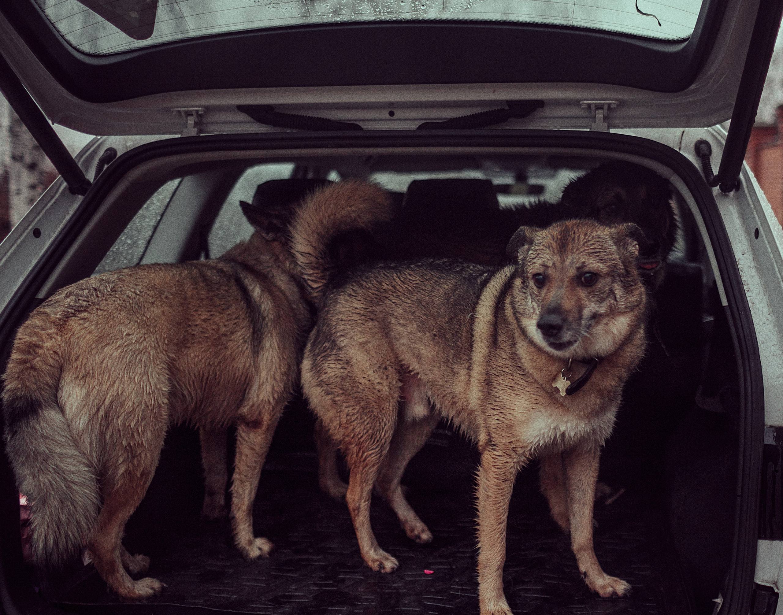 Наташа, Настя, Дима. Семейный фотограф в Москве Натали Момот