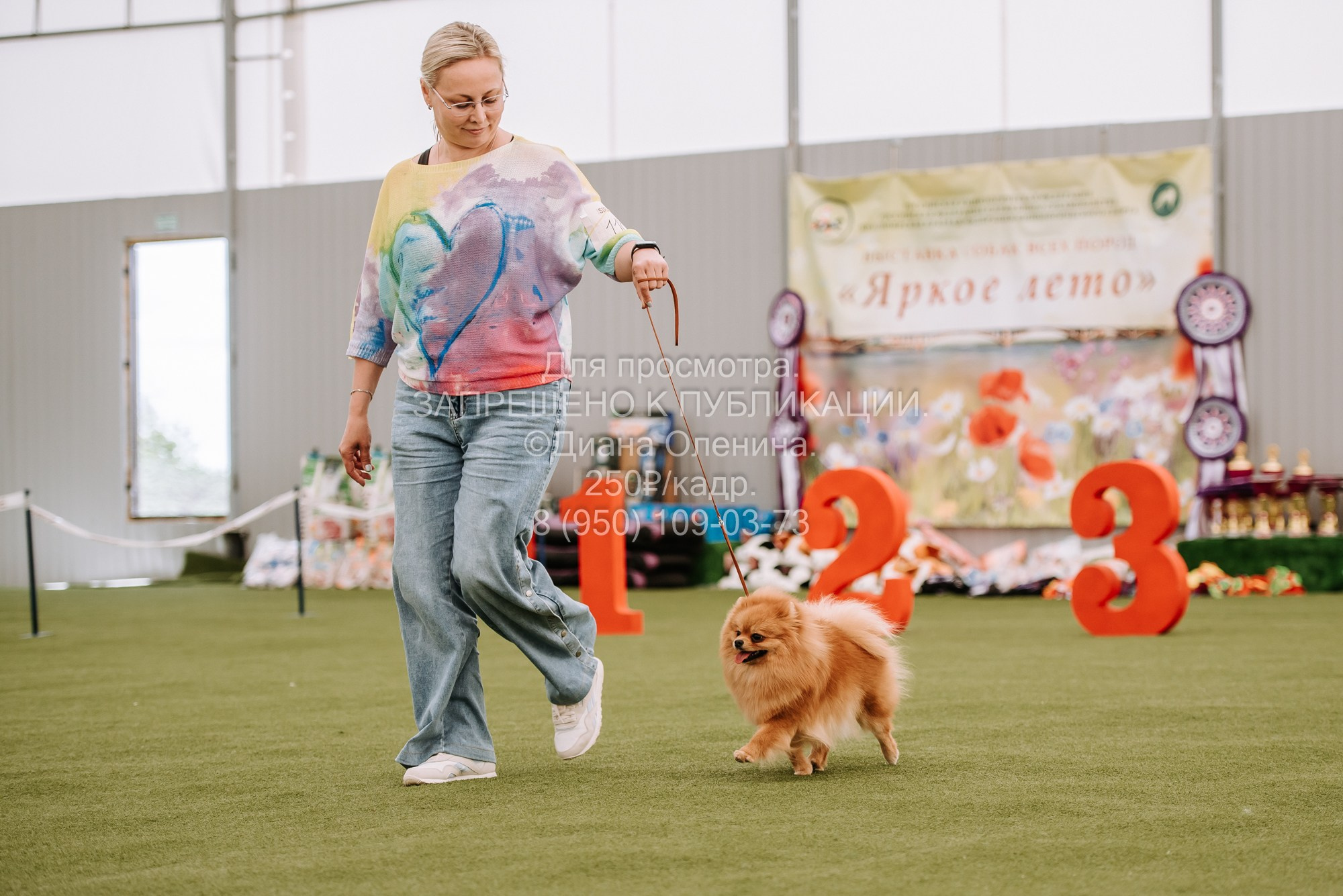 Выставка собак Красноярск 2.06. Фотограф Диана Оленина Красноярск / Братск
