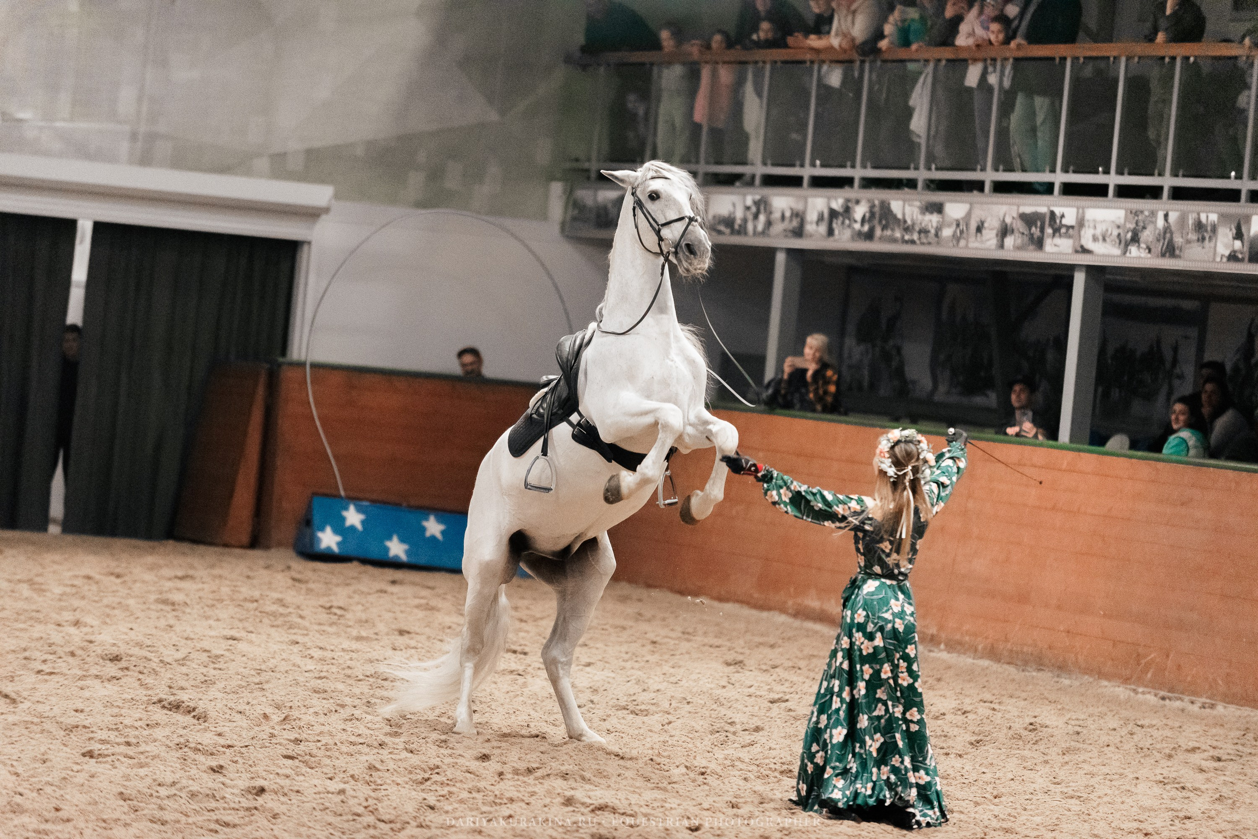 Конное представление «Дыхание Звёзд». Конный фотограф Куракина Дарья • Фотосессии с лошадьми
