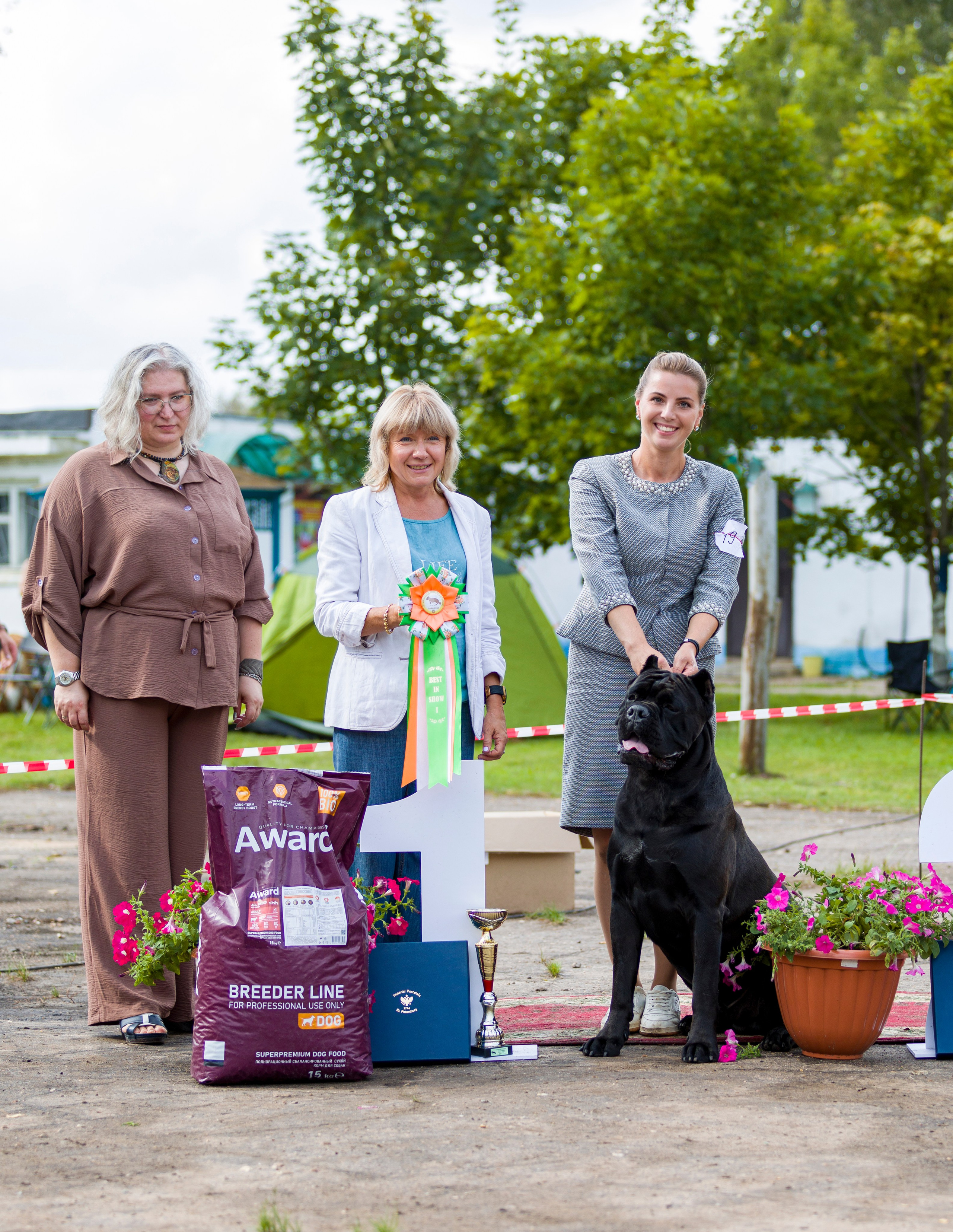 Выставки. Фотограф — анималист Татьяна Ли