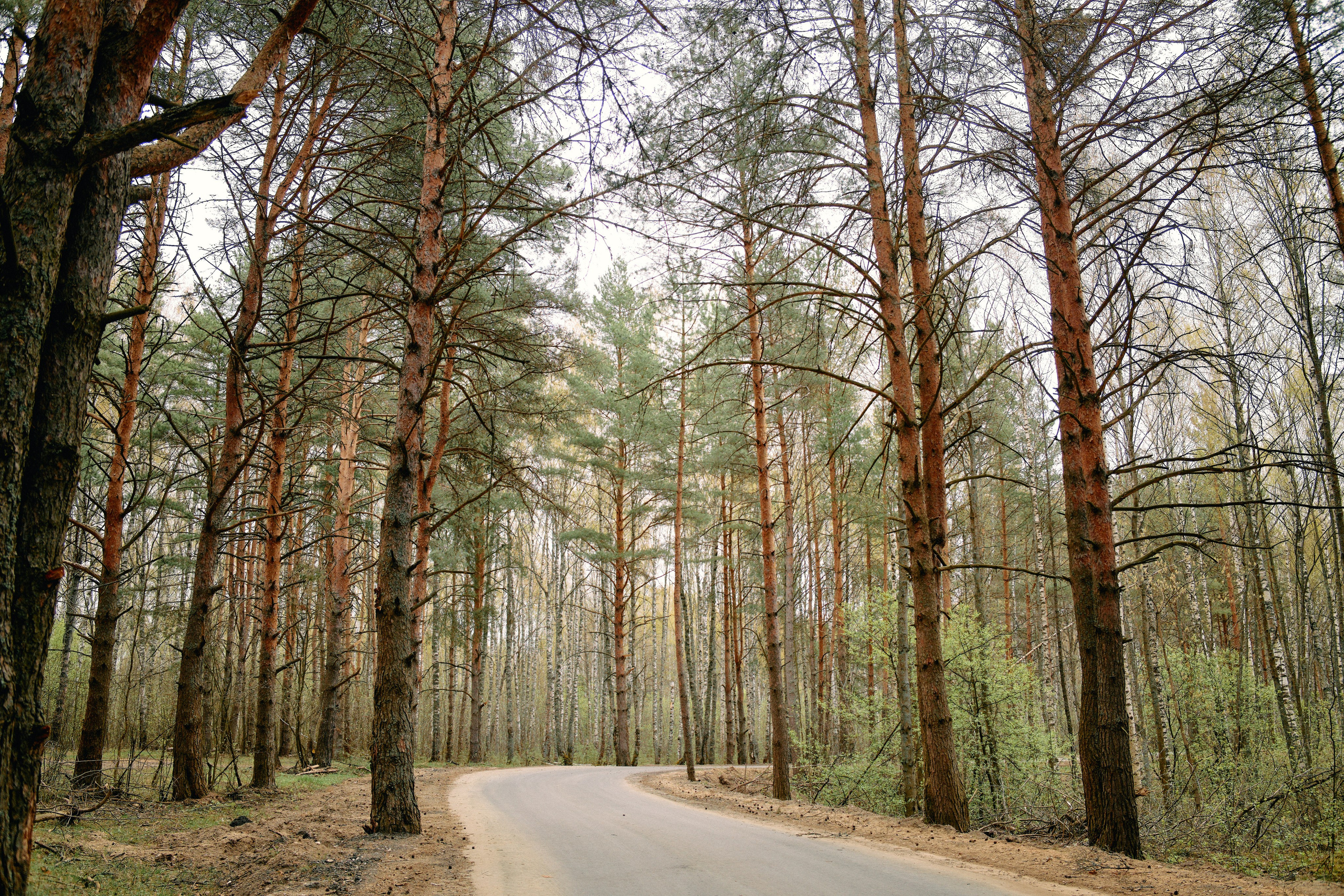 Бутик-отель Поле летом. Профессиональный Фотограф во Владимире, в Москве и в Суздале — Полина Романычева